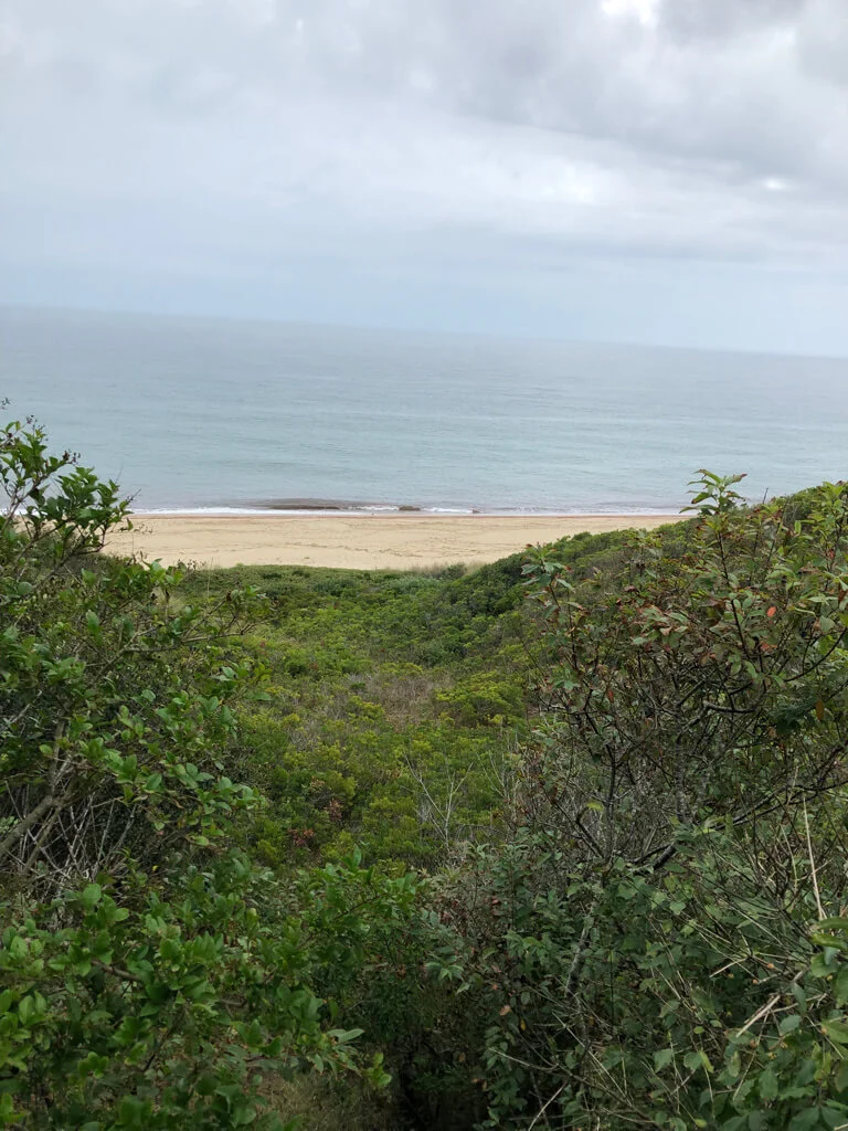 Sconset bluff walk. Photo: Terry Anne Vigil