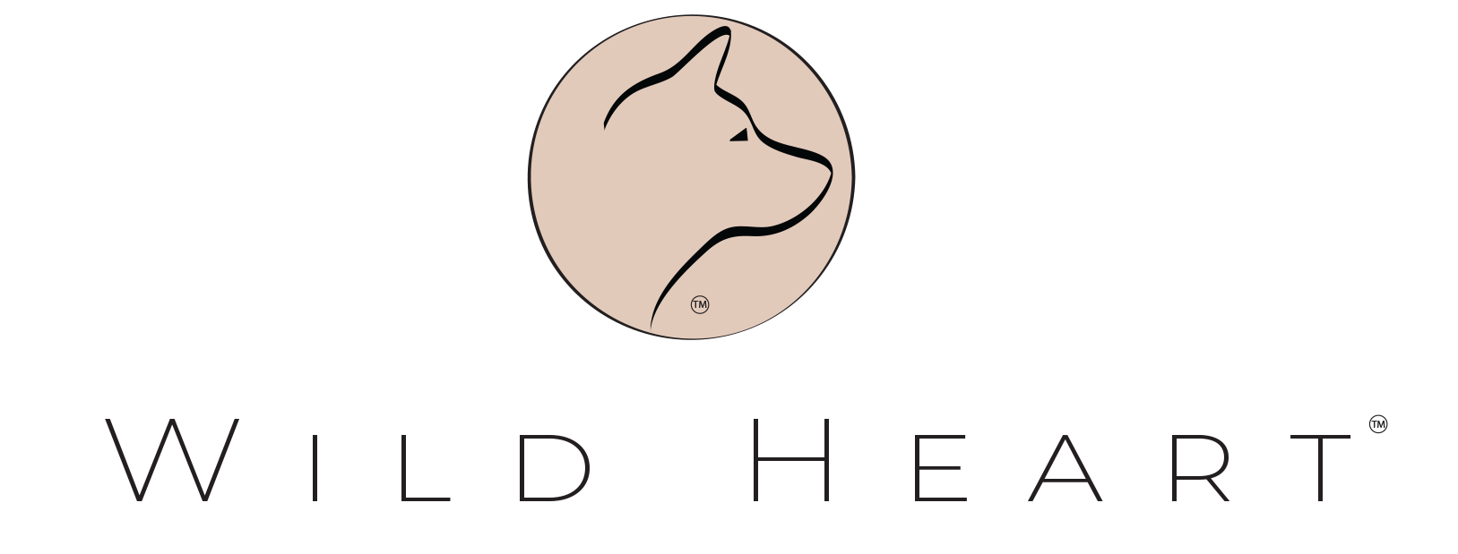 48427803_2152787154782788_4654654675142836224_n.png