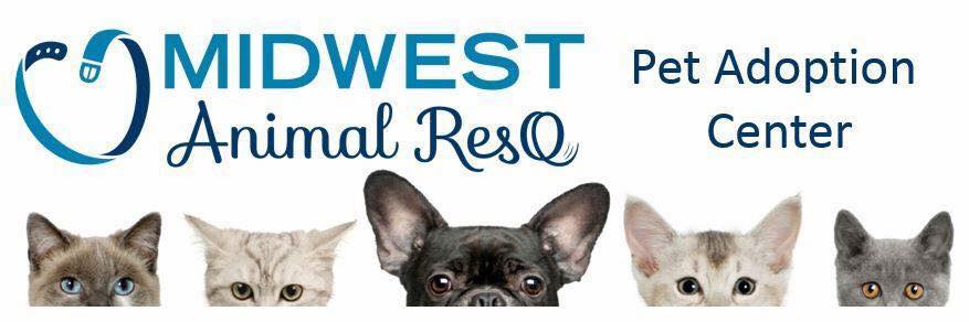 Favorite Rescues — Best Dog Walkers and Pet Sitters in Kansas City