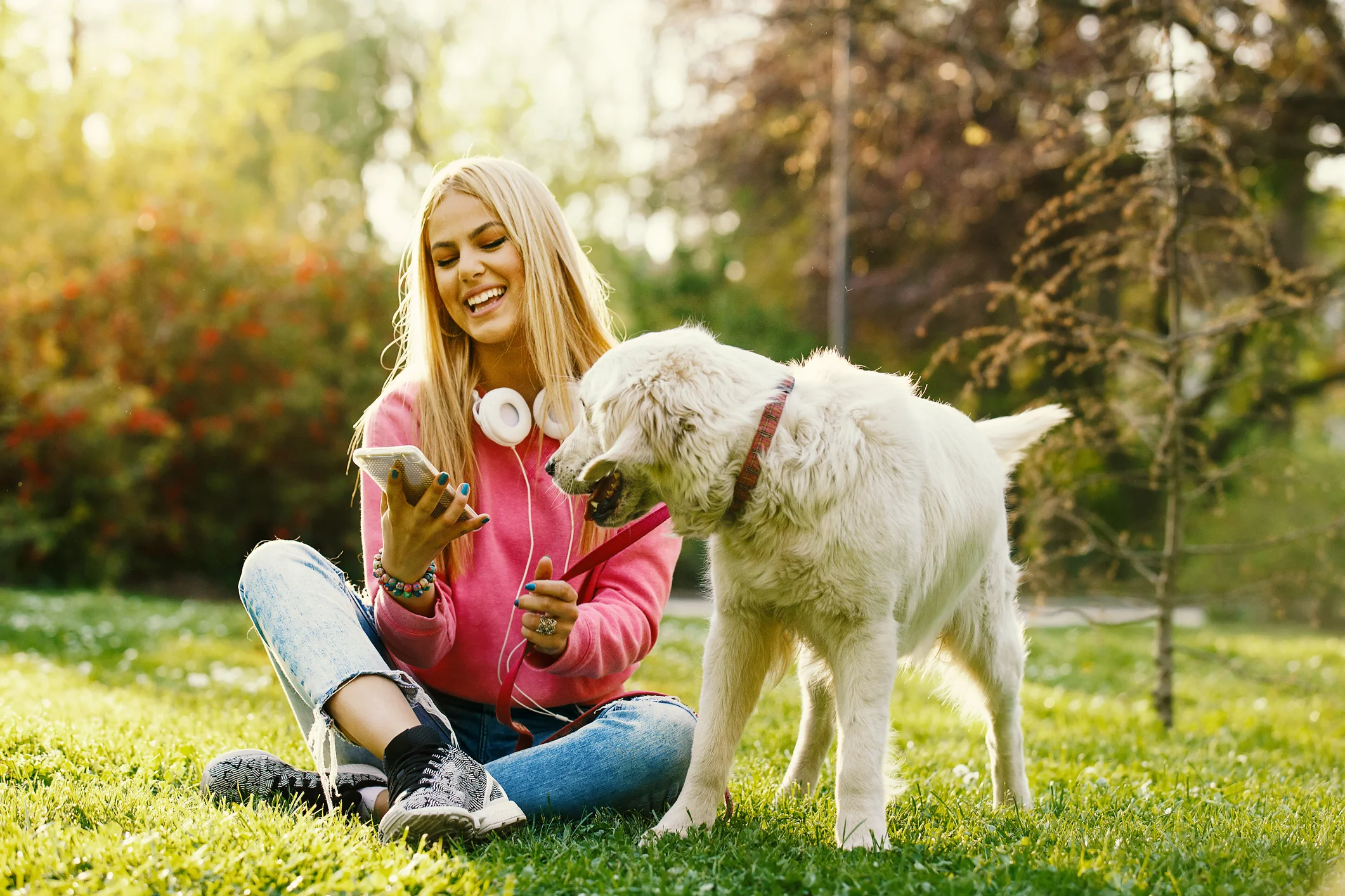 Top Apps for Pet Owners