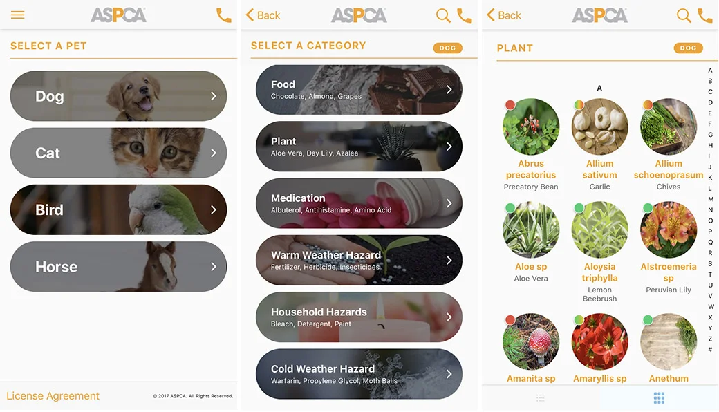 aspaapp-1-r1.jpg
