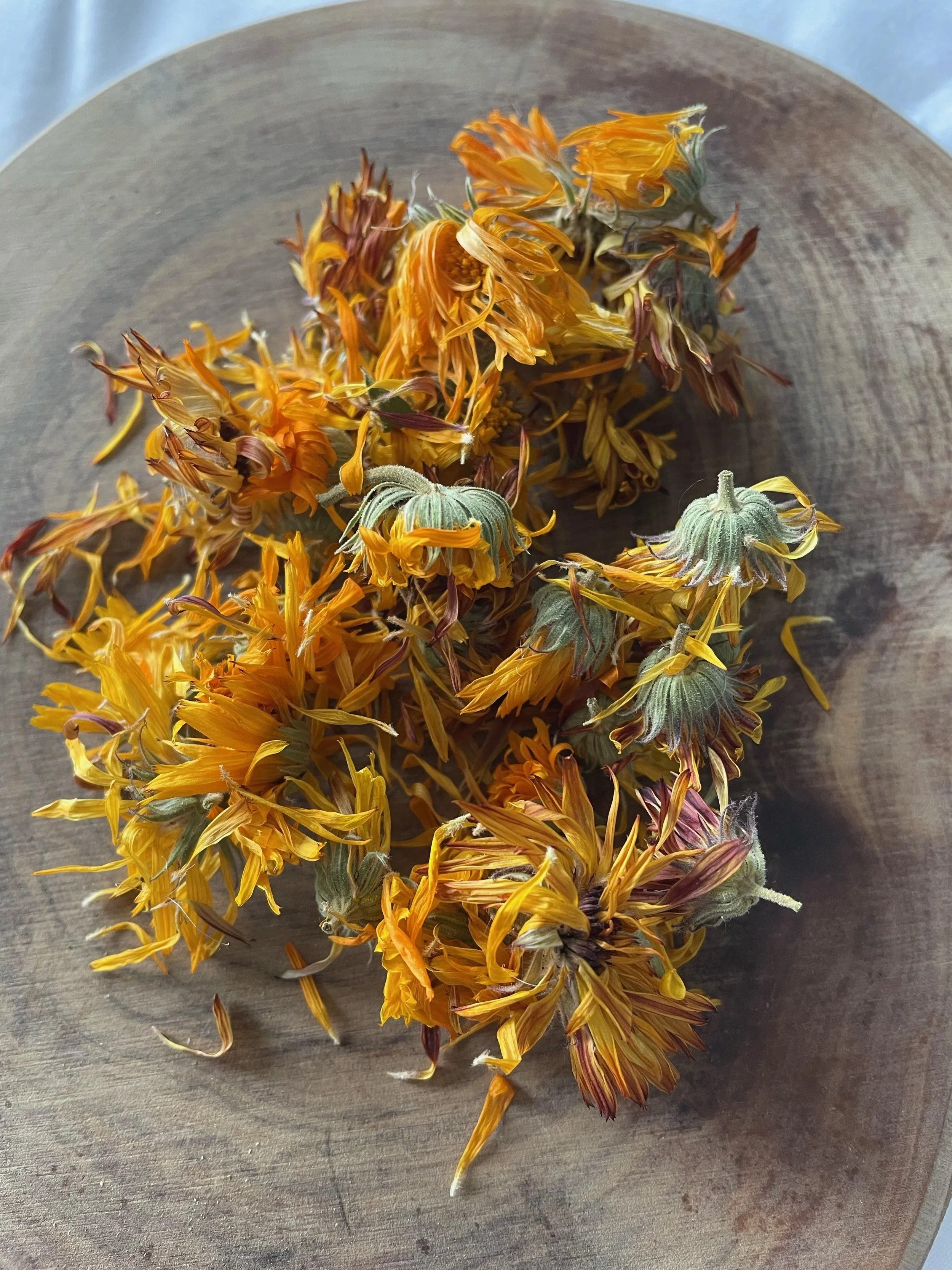 Calendula.jpeg
