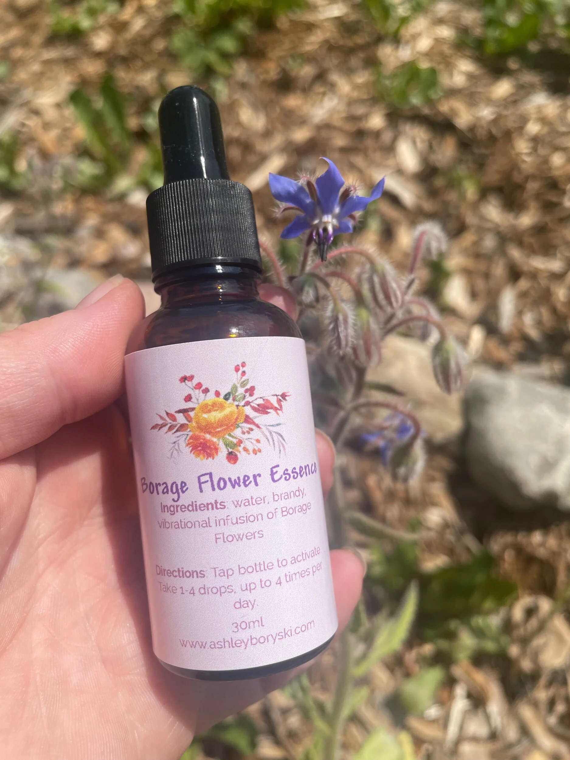 41A4A791-D9D7-40E3-9CDA-6A3C7F15E531