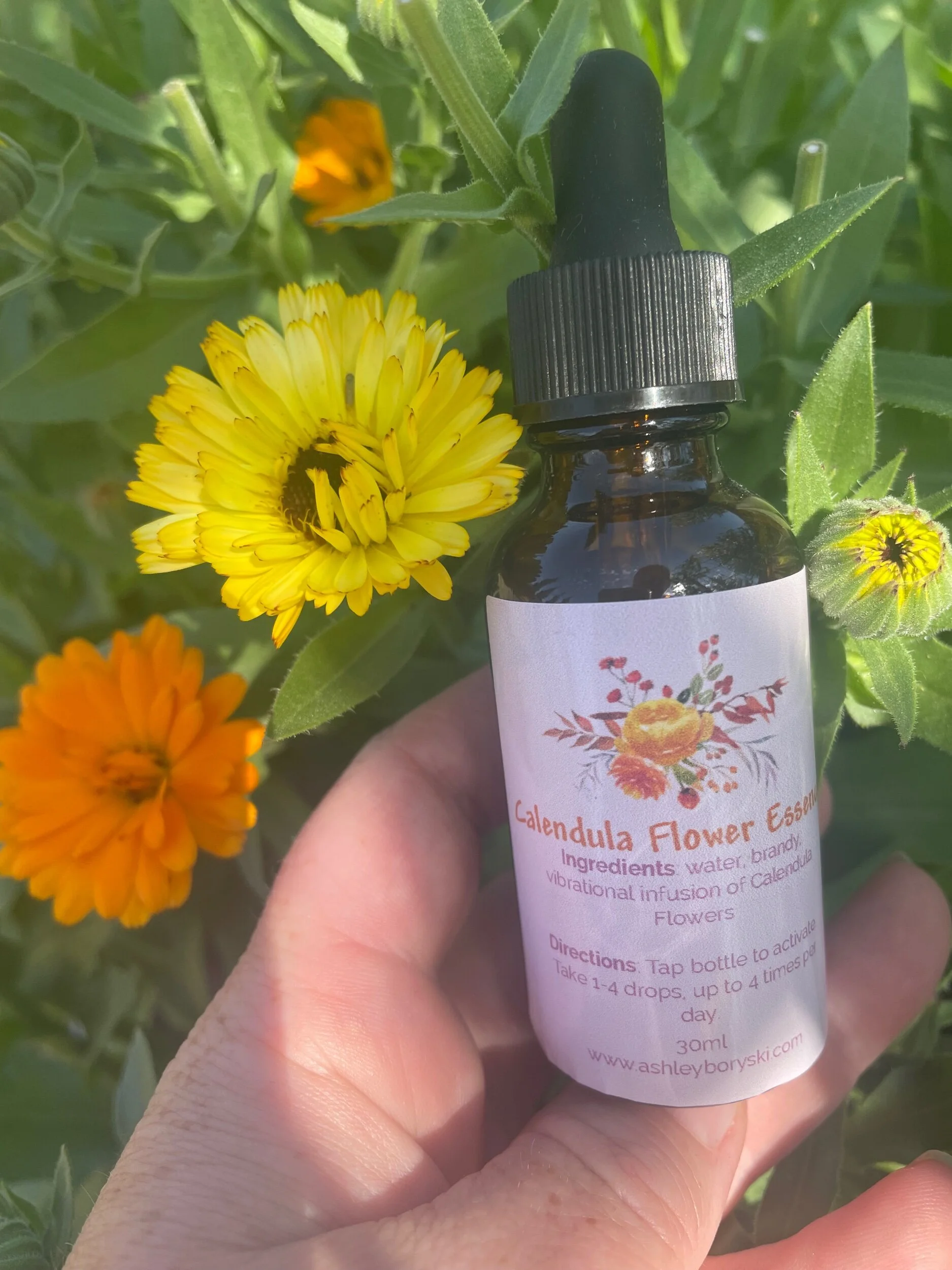 AB66A8B1-322F-485F-8AFD-353AC995EA78