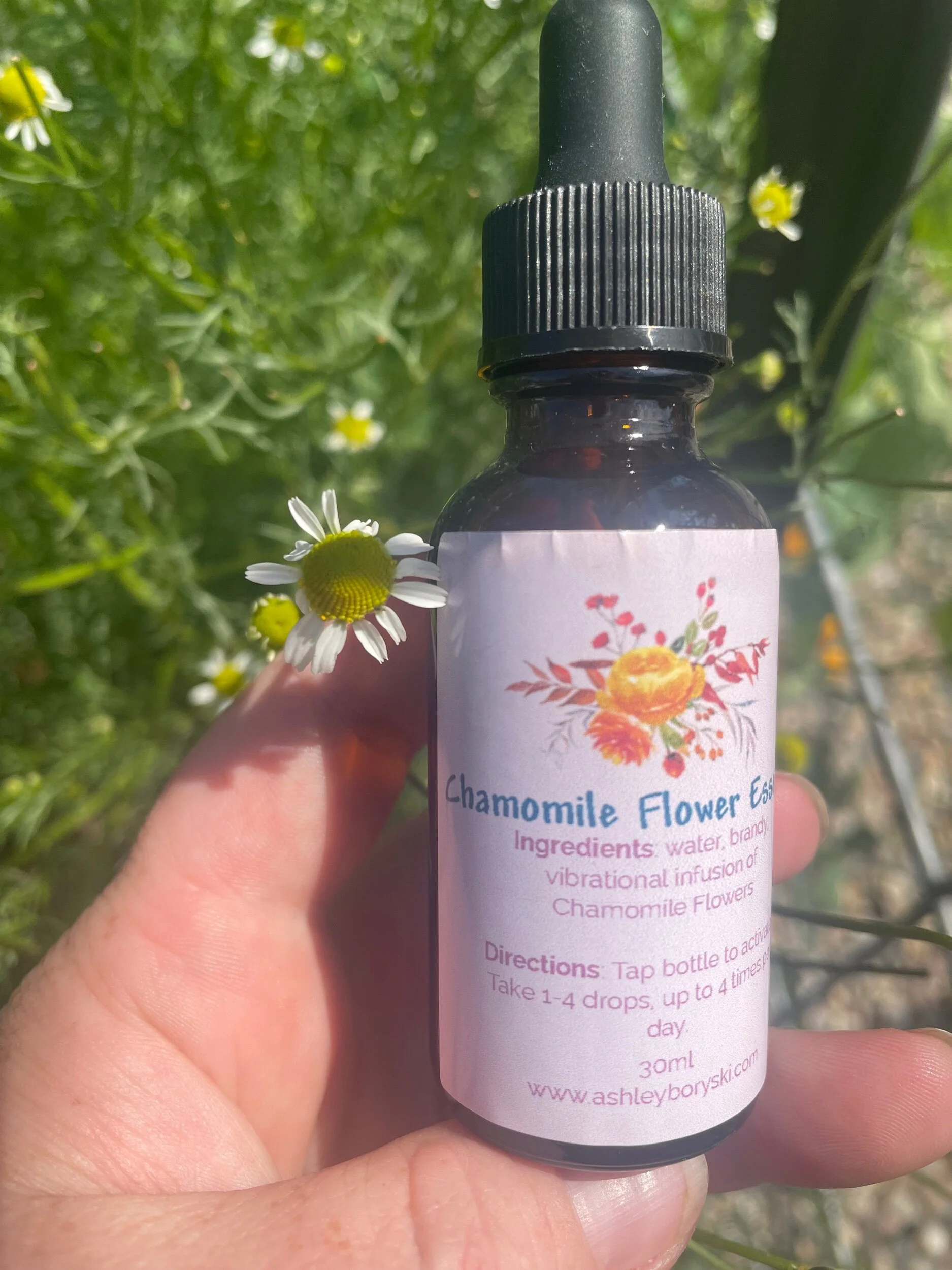 DE90BFDA-D1BC-4837-A04B-BDECD03F674E