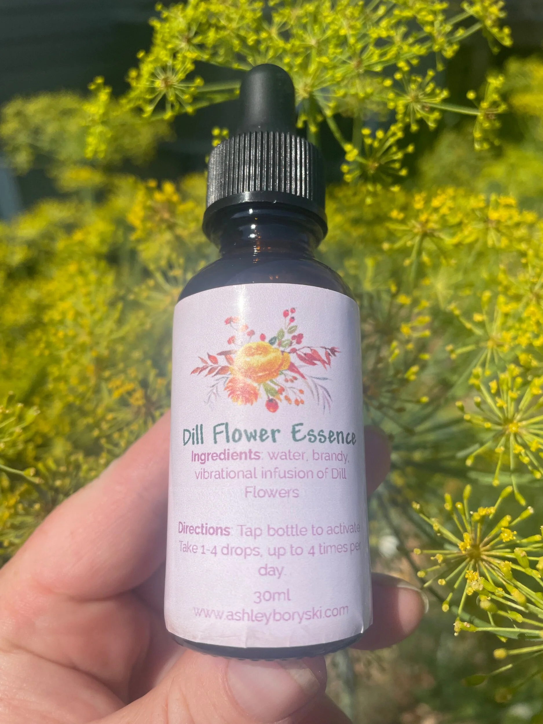 6E5EE06D-21F5-43DB-B54A-82BE4789E3CD