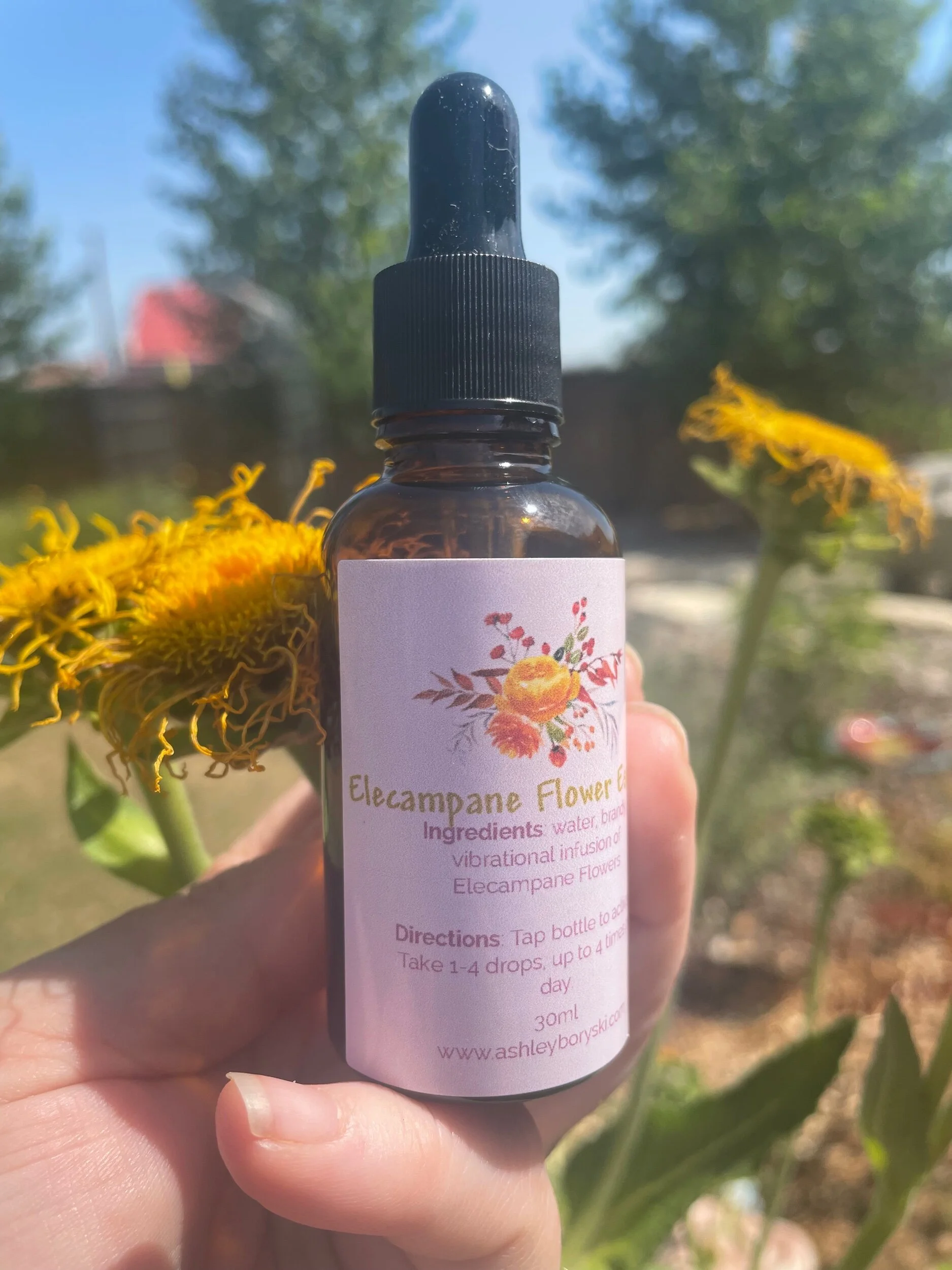 F1408495-E55B-43EE-995A-EE4DC382C527