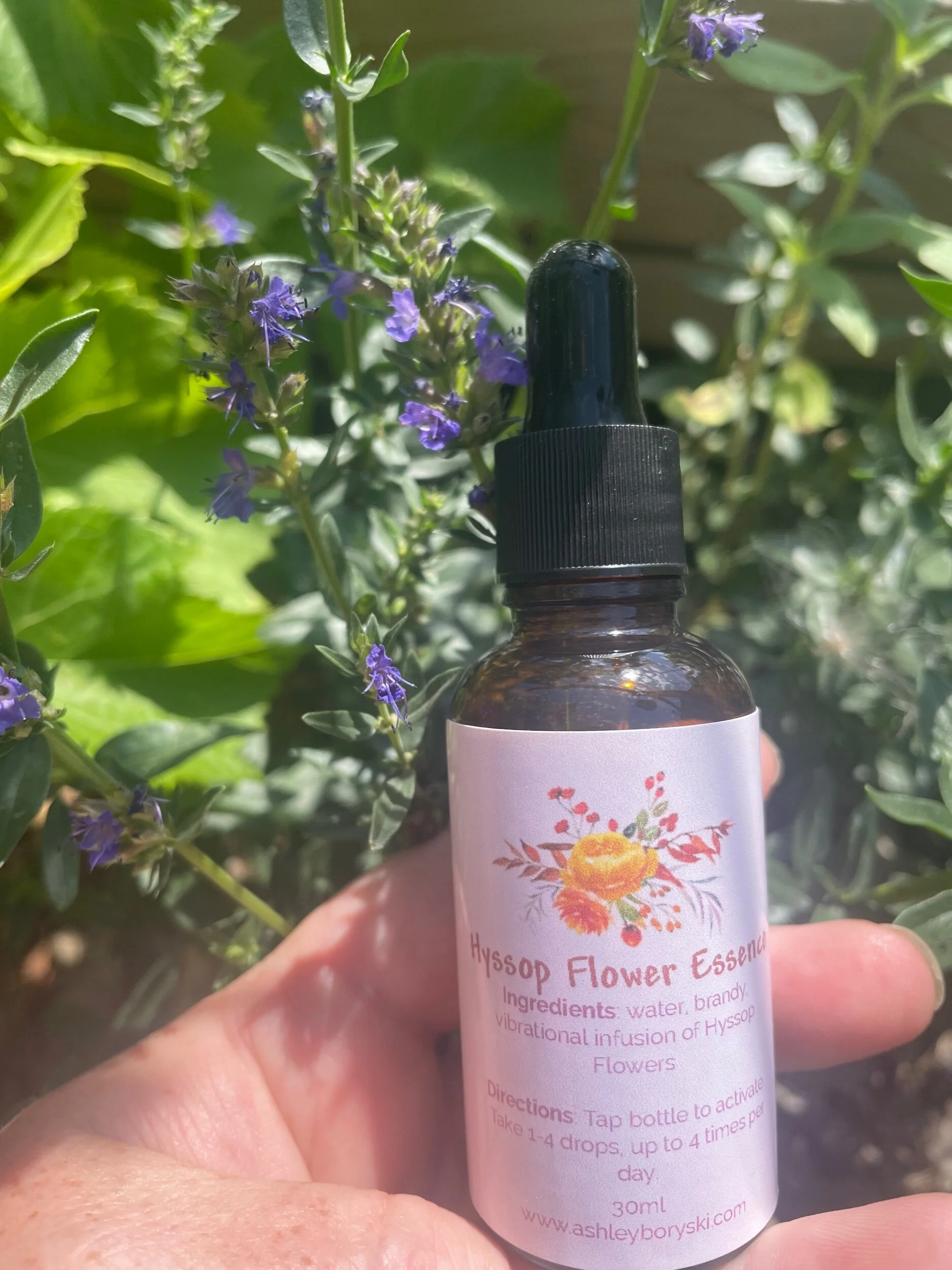 2601B881-880F-4D48-BCD2-4C92BA009F95