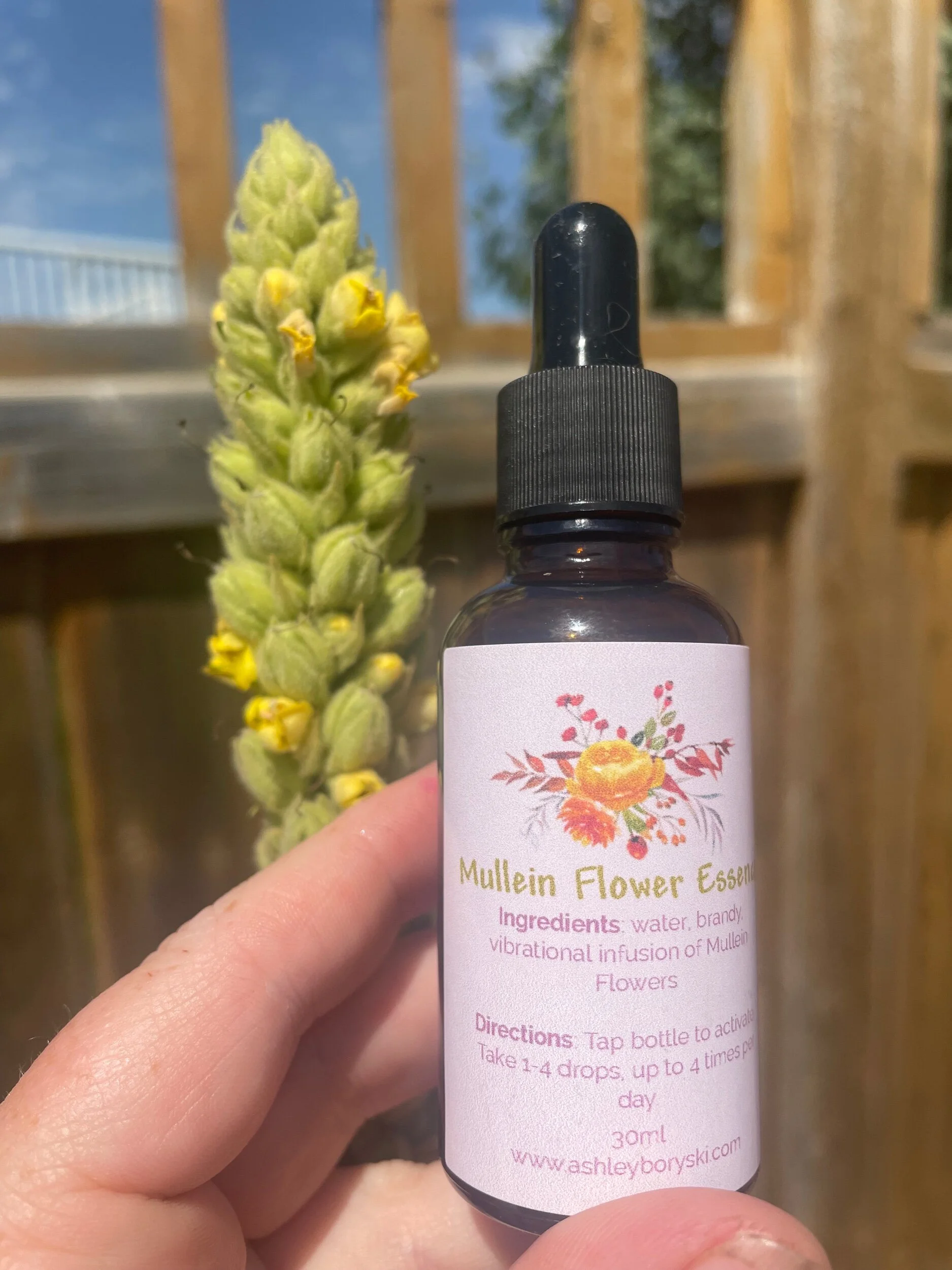 4FC42EBE-DF19-4DEB-AF5A-5F482EC6A7C8