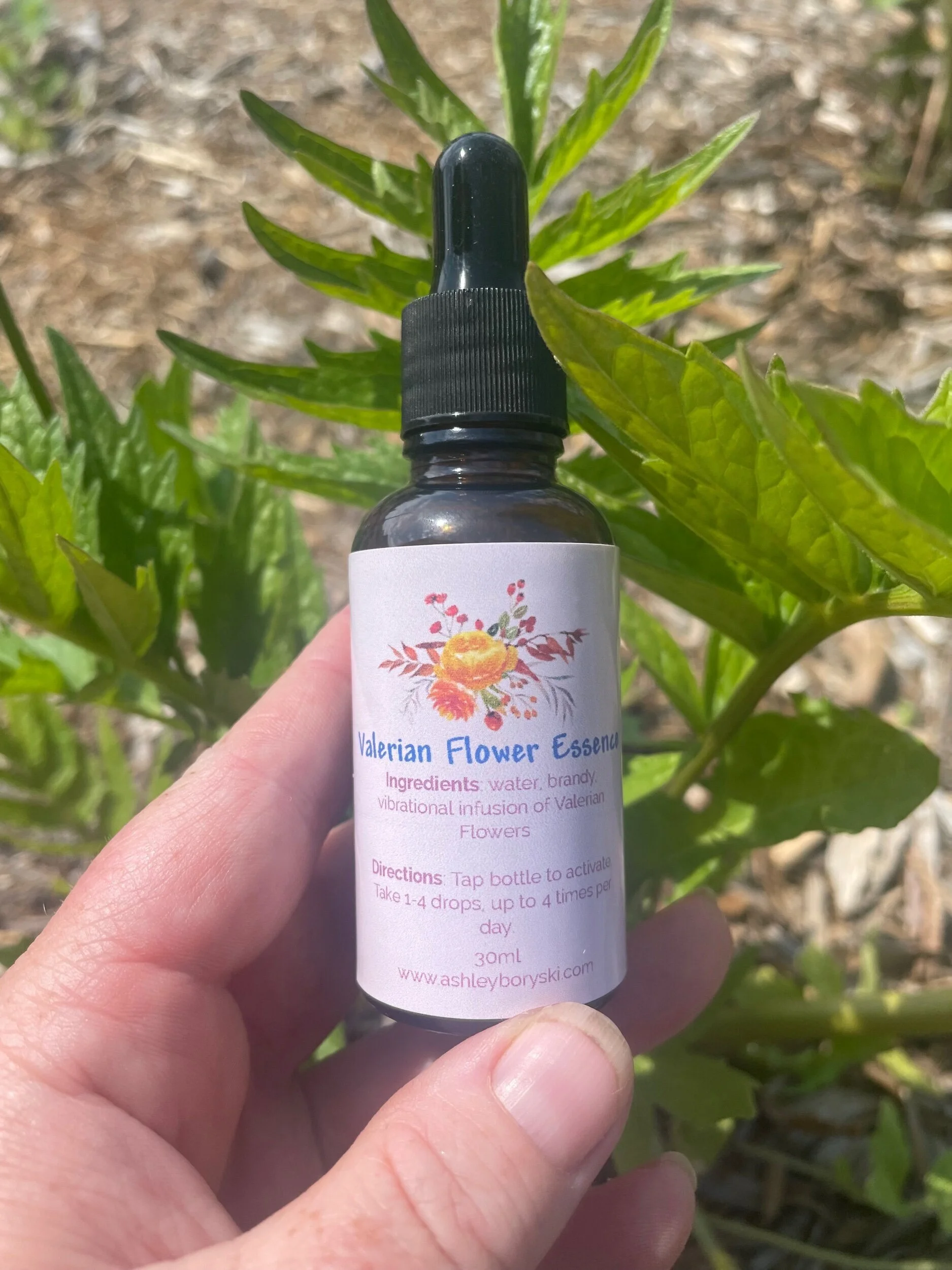 D4343CB6-64C8-4E82-AAD5-EFA46415904E