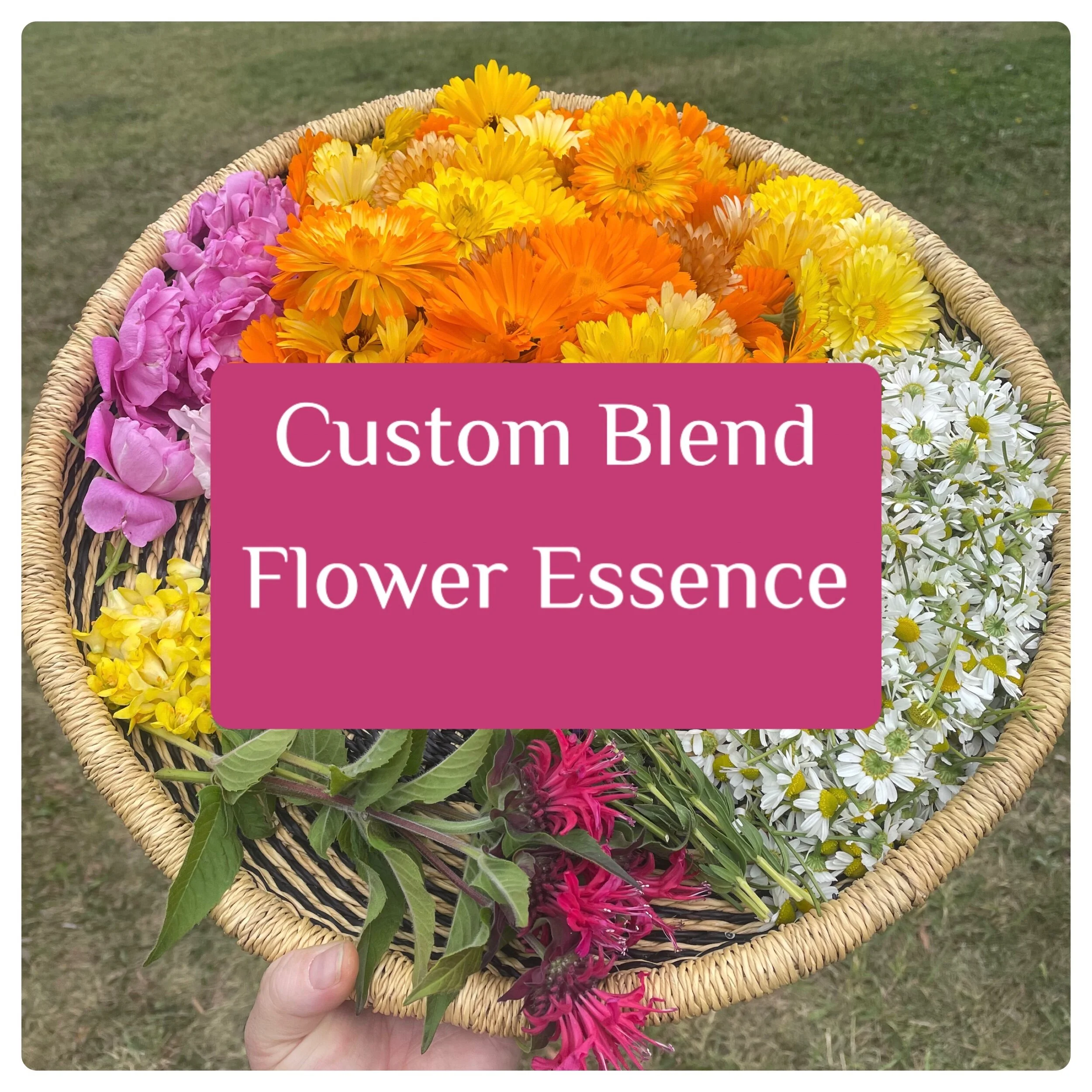 04BA4DDB-FDE7-419C-B4B7-51450E75BD45