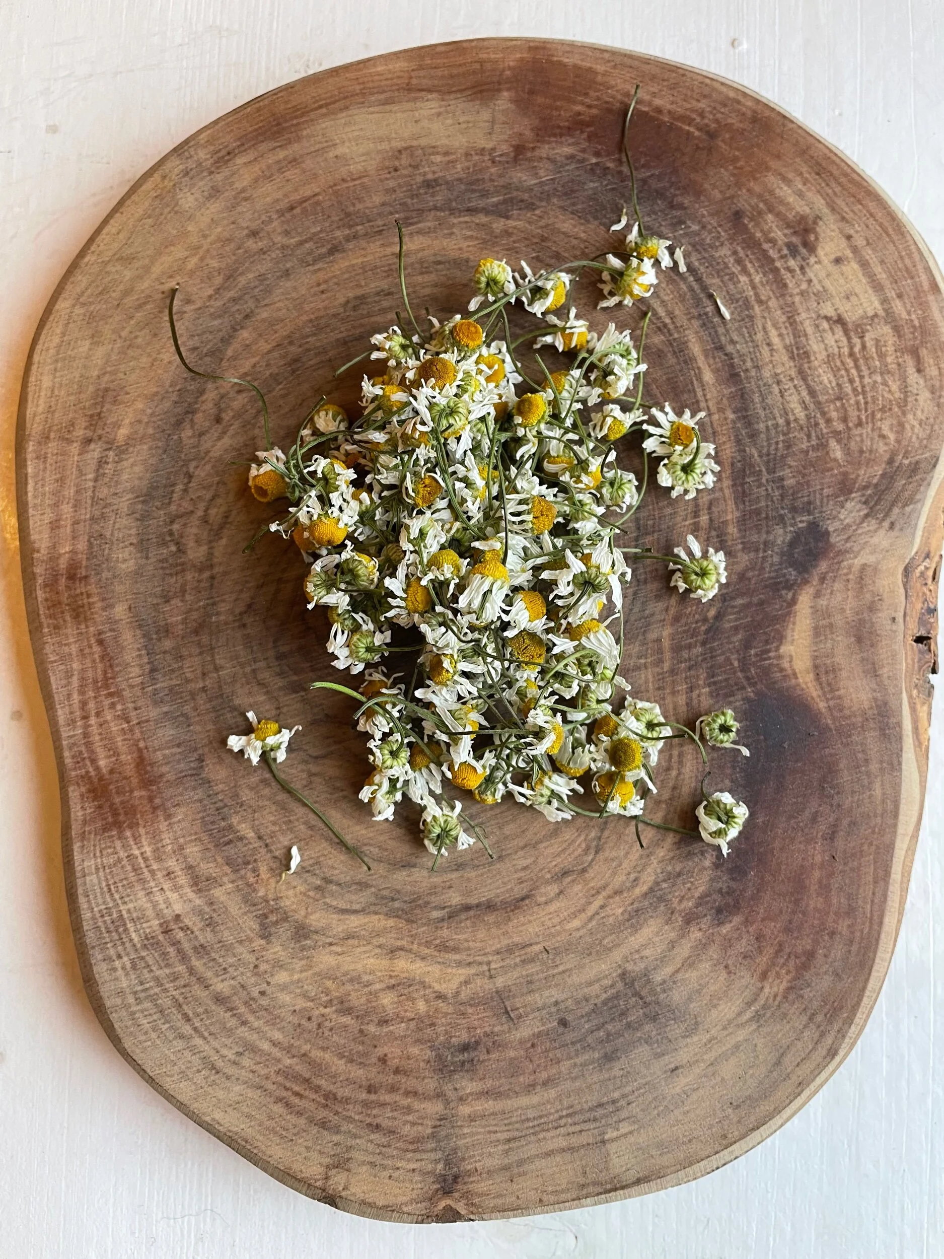 D3B8F708-8A48-4B11-9743-308C48B34D30