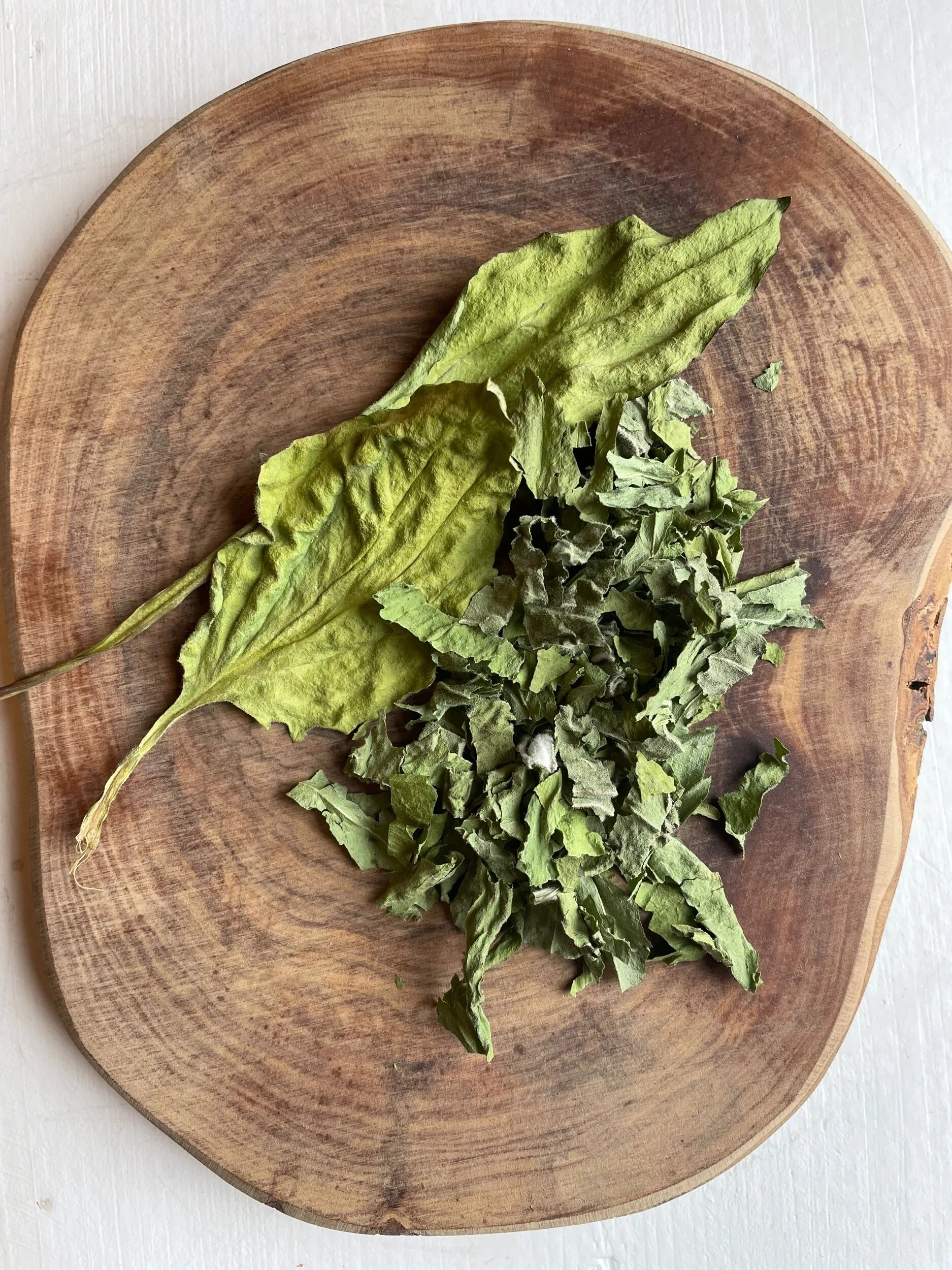 5538E410-53A2-4BE6-BA60-1459EC33C6C7