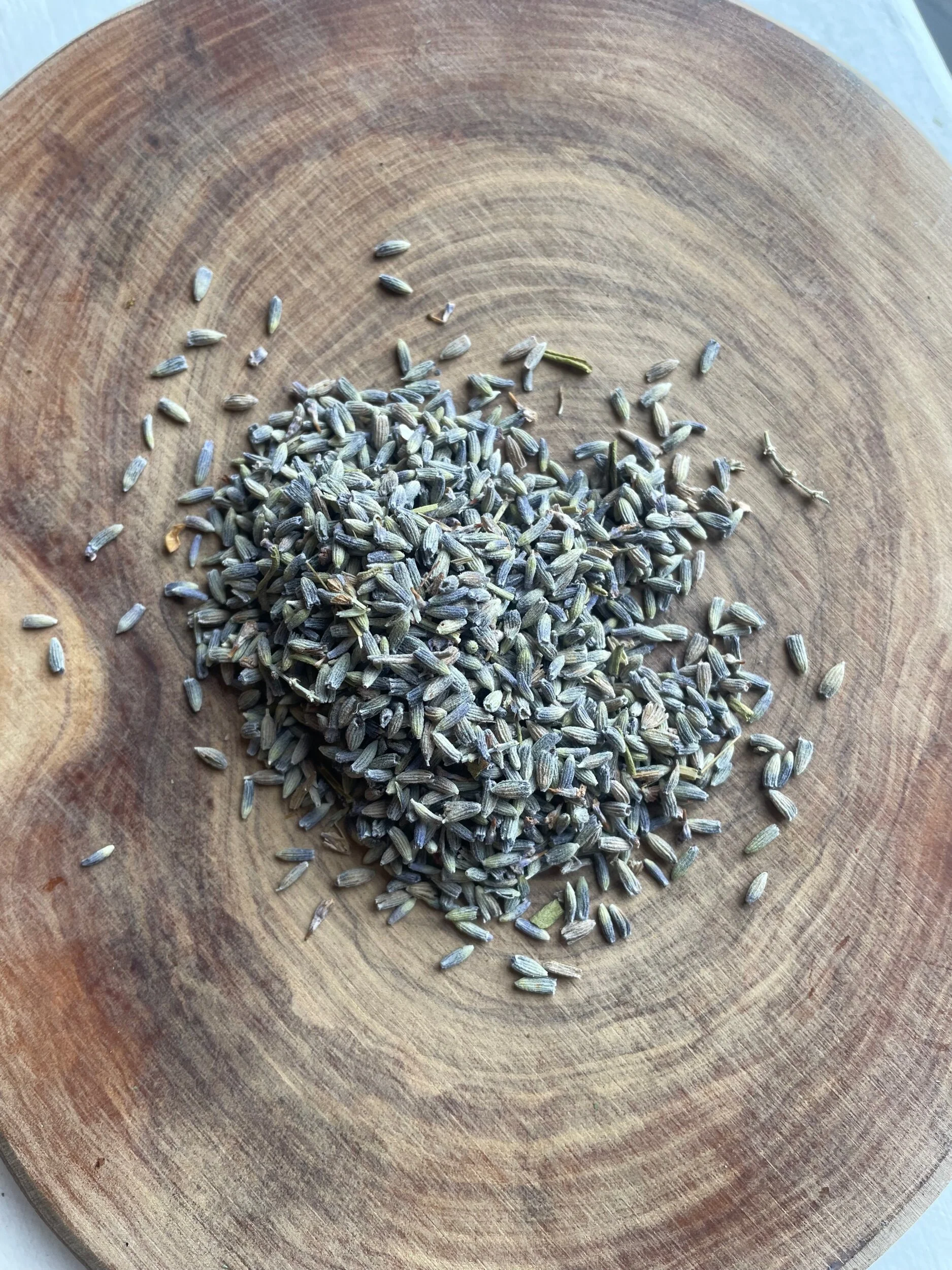 1E90E862-216A-4C1E-9737-EFF4E5D9AE0D