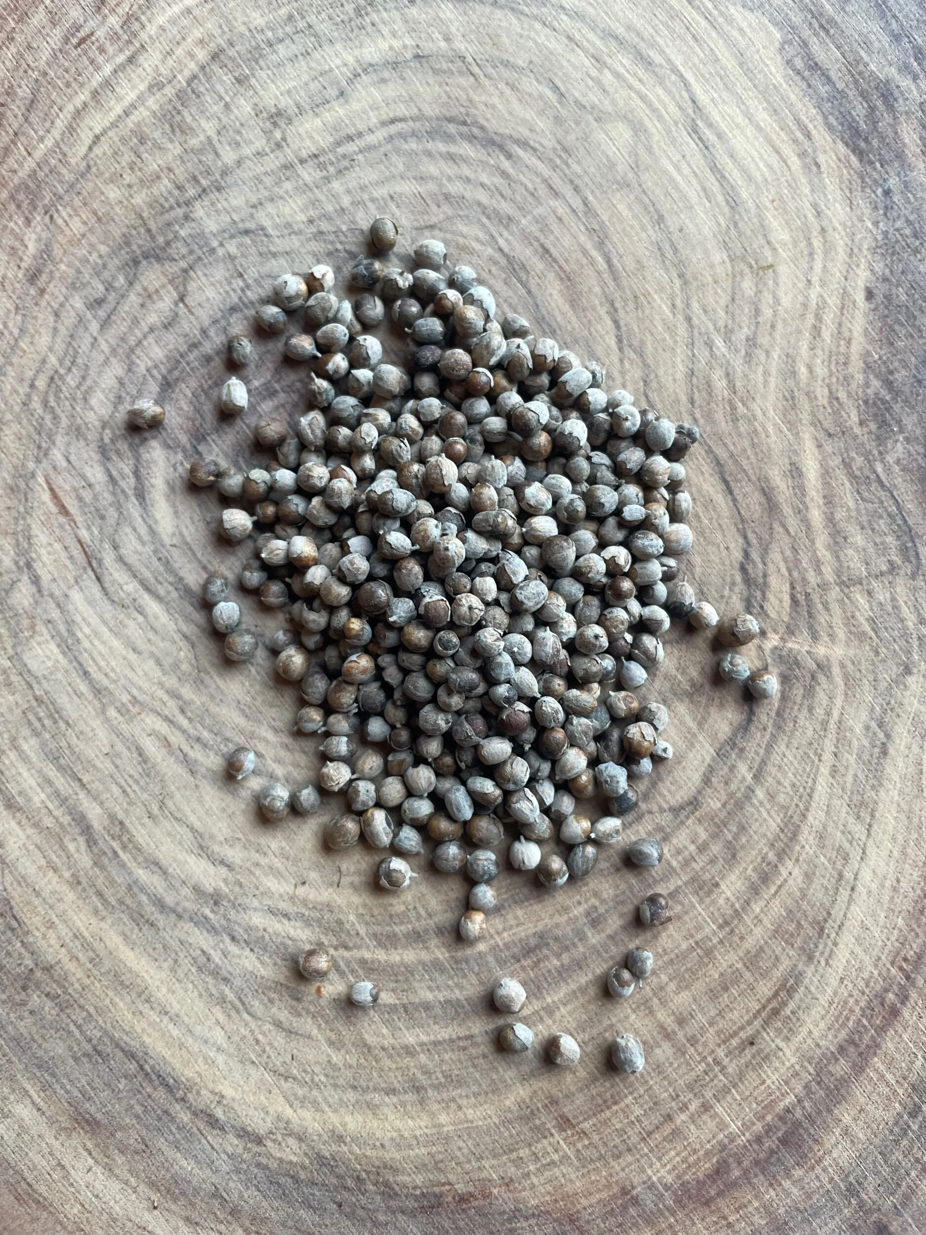 EC2A761C-83A8-4865-AE33-856080319BC4