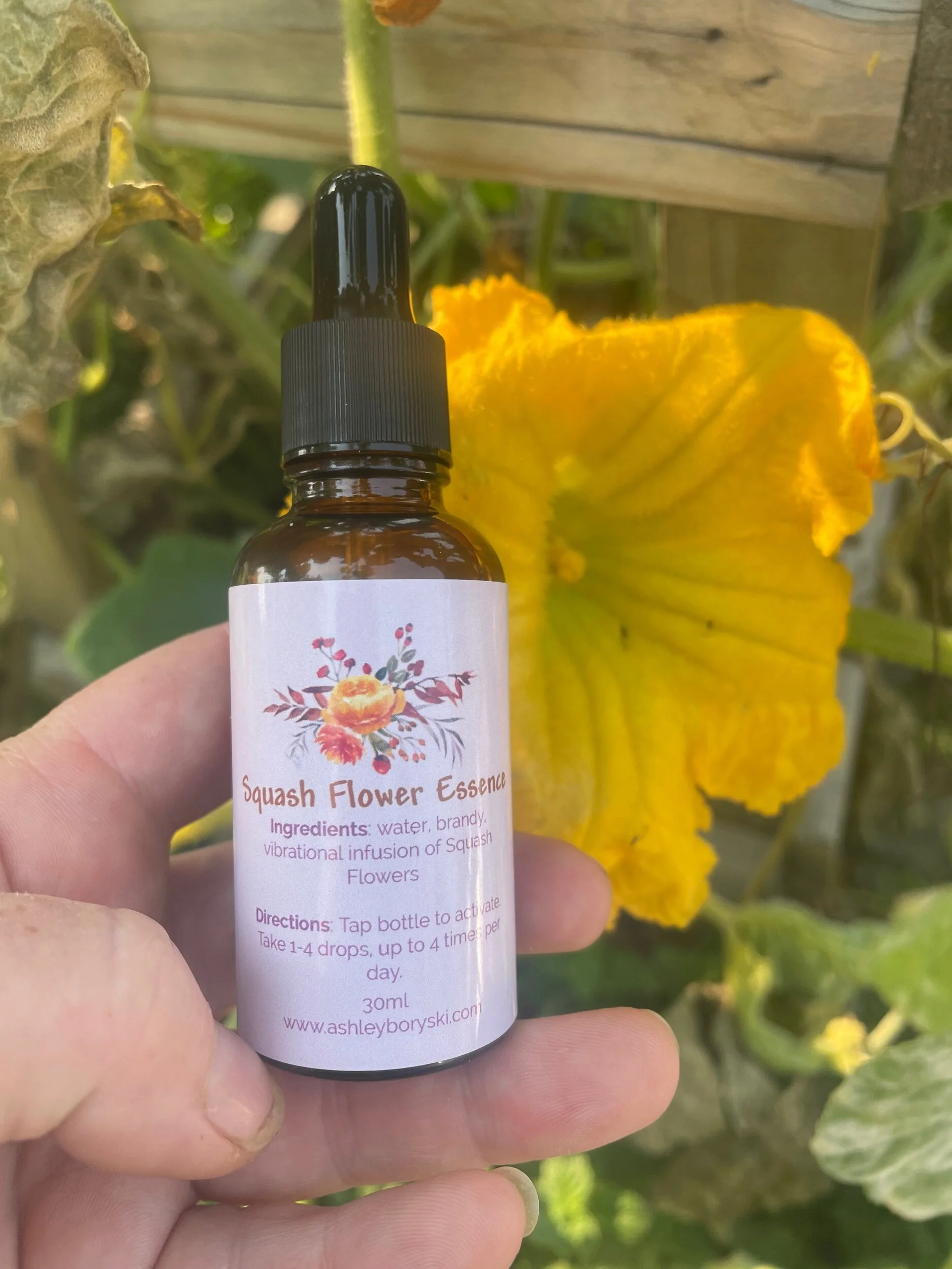 31567B6B-14F1-4FBA-9044-CF7CAC02DAD5