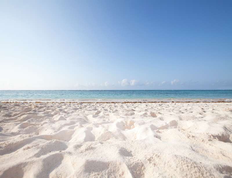 Are White Sand Beaches Really Made of Fish Poop?