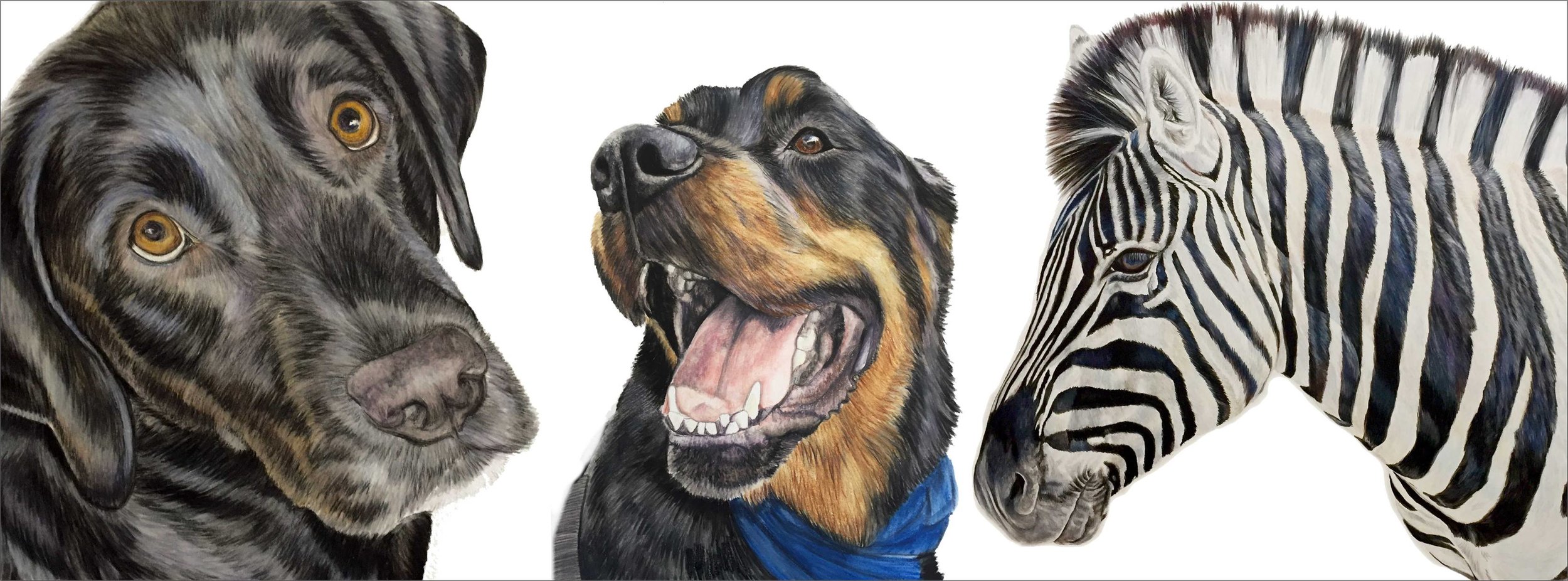 Custom Pet Portraits, Singing Birds Art