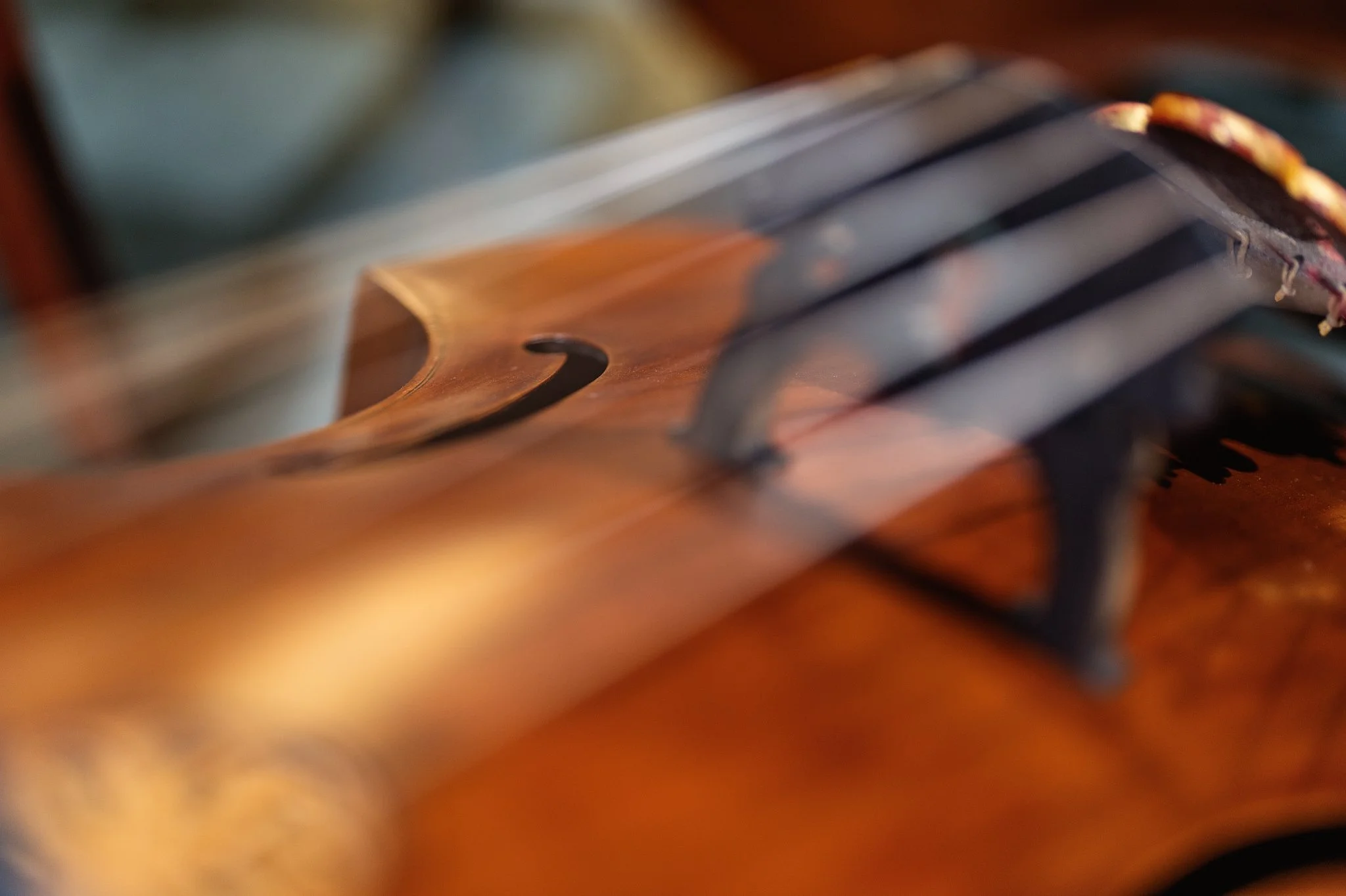 Ornamenti 0510-(68 of 133).jpg