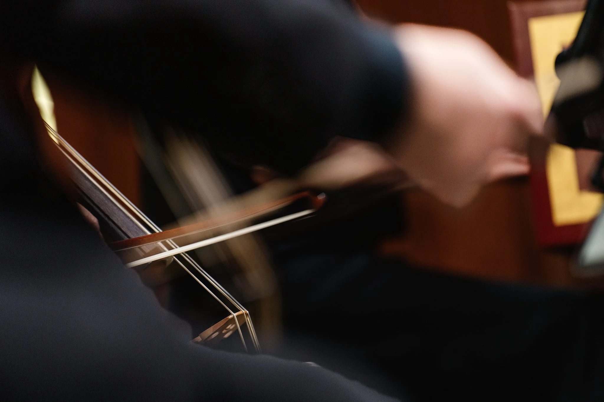 Ornamenti 0510-(49 of 133).jpg
