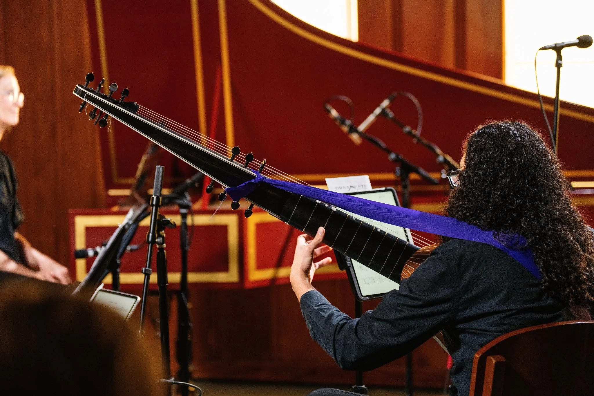 Ornamenti 0510-(107 of 133).jpg