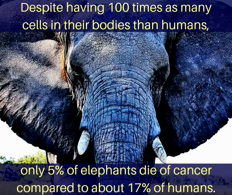 #CancerFacts