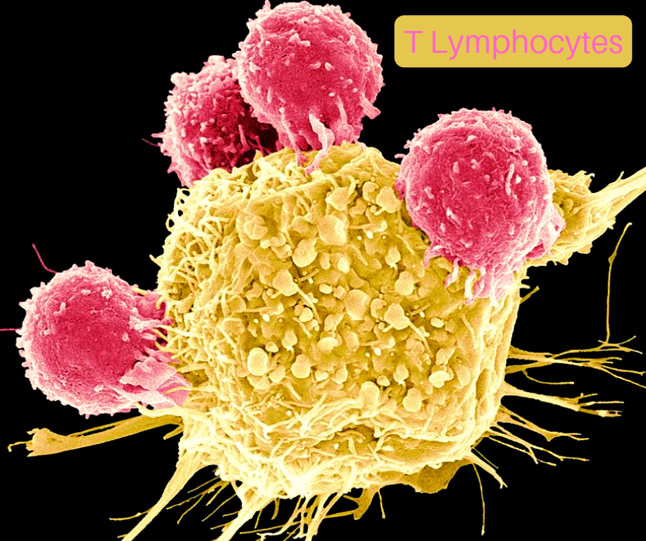 #CancerPhotos