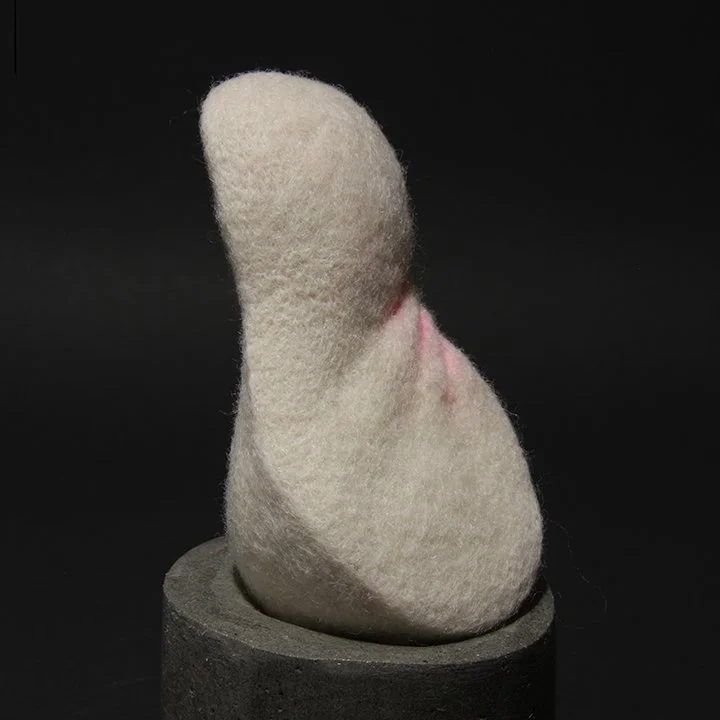 Consentia 8 Panduriform IMG_1310.jpg