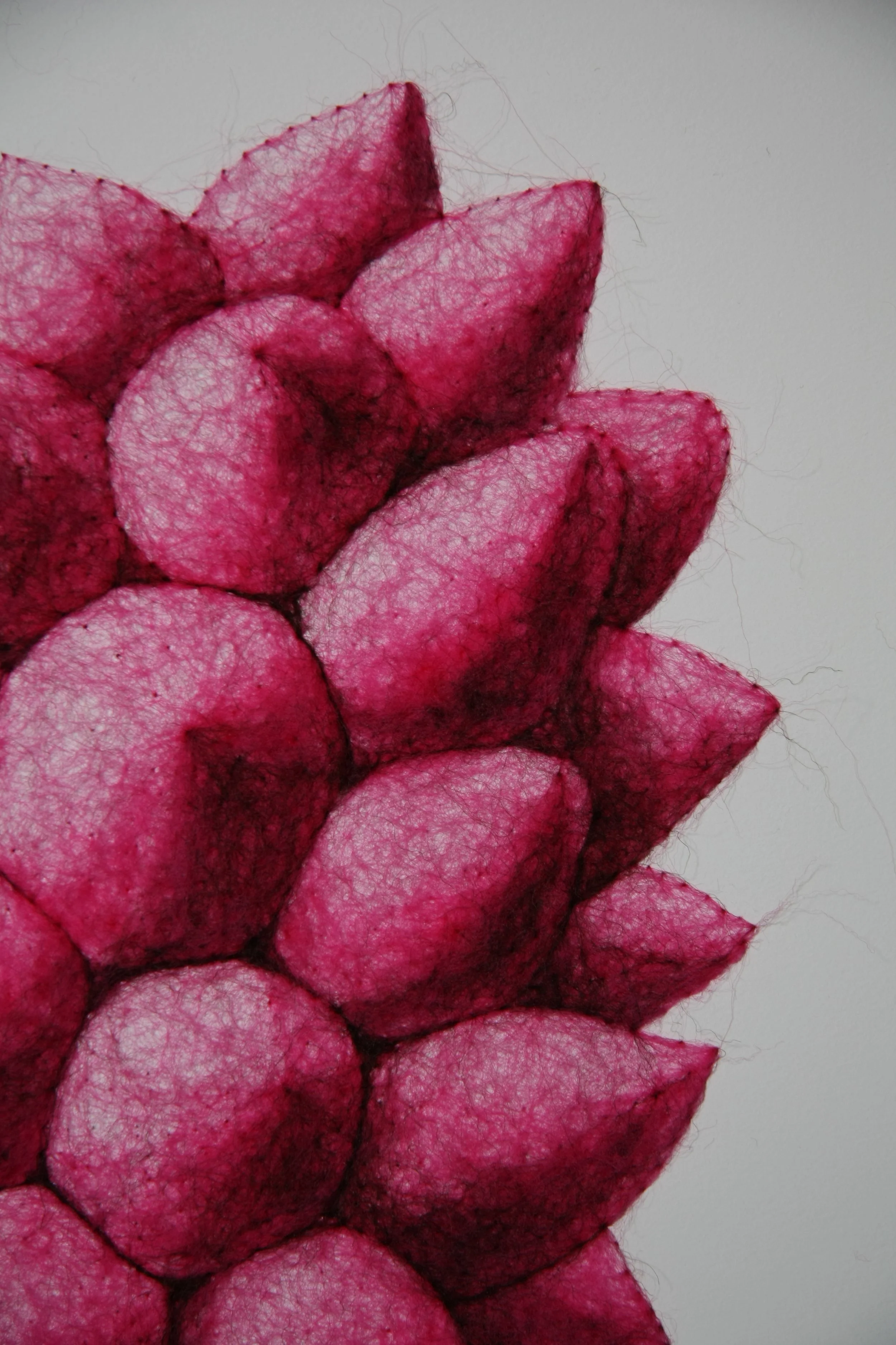 Succulence 5, wool through paper, framed, 22 x 15 x .25 inches, 2025