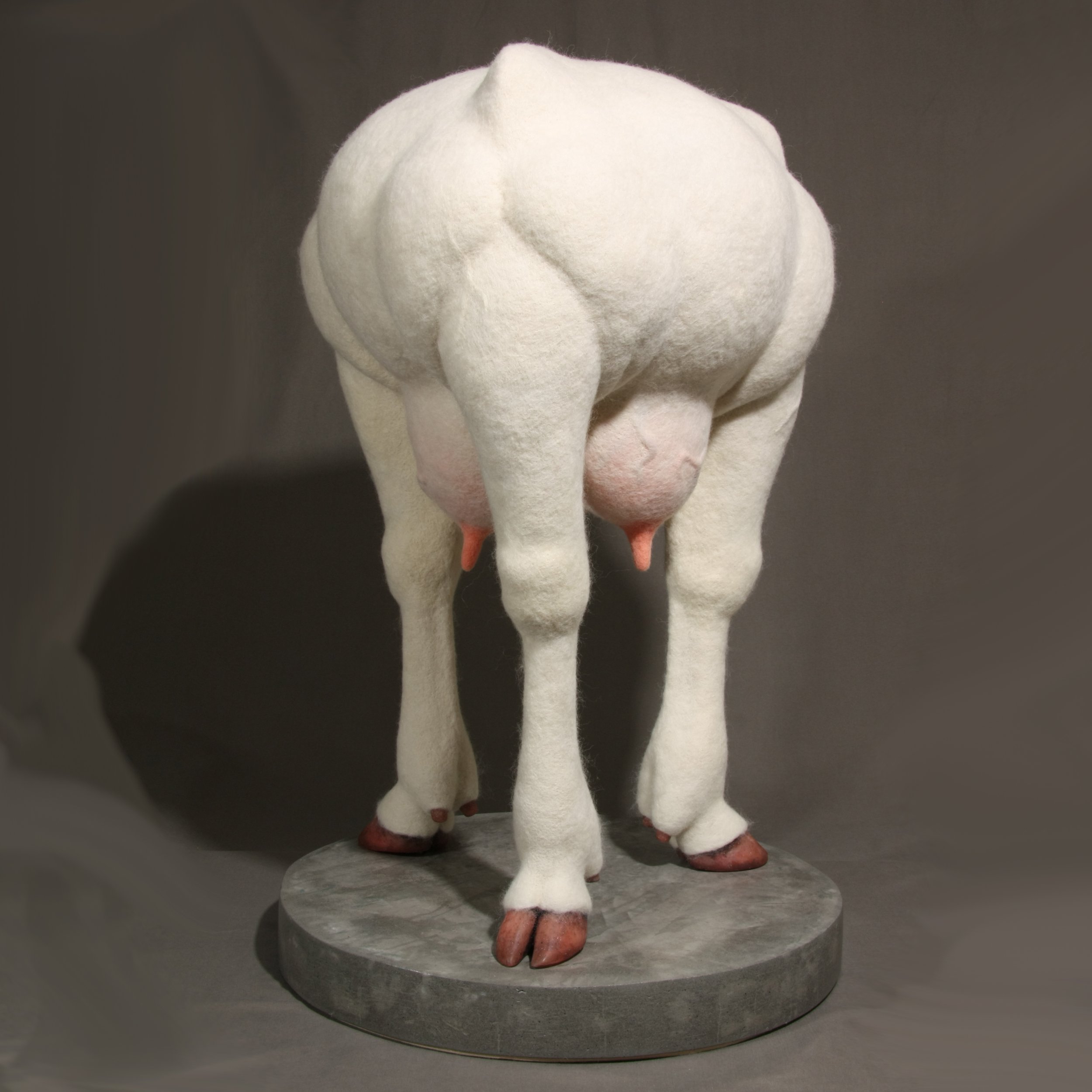 Overbred