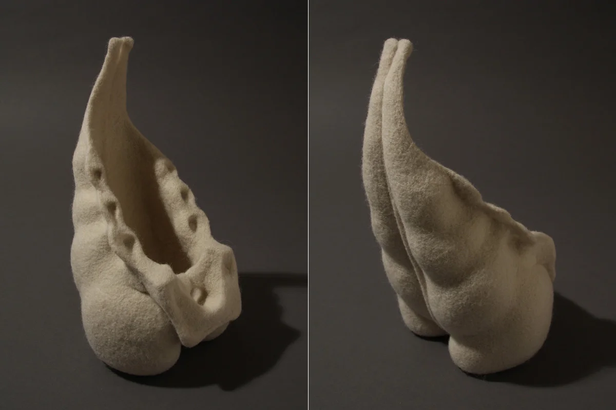Flesh & Bone Study #3, (Sacrum/Vessel) , wool, 11" x 6.5" x 6.5", 2013