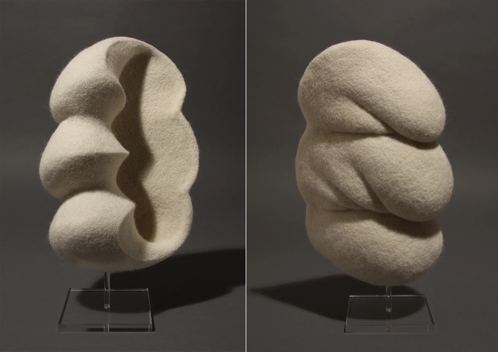 Flesh & Bone Study #4 (Shell/Flesh) , wool and plexiglass, 11" x 7.25" x 4.5", 2013