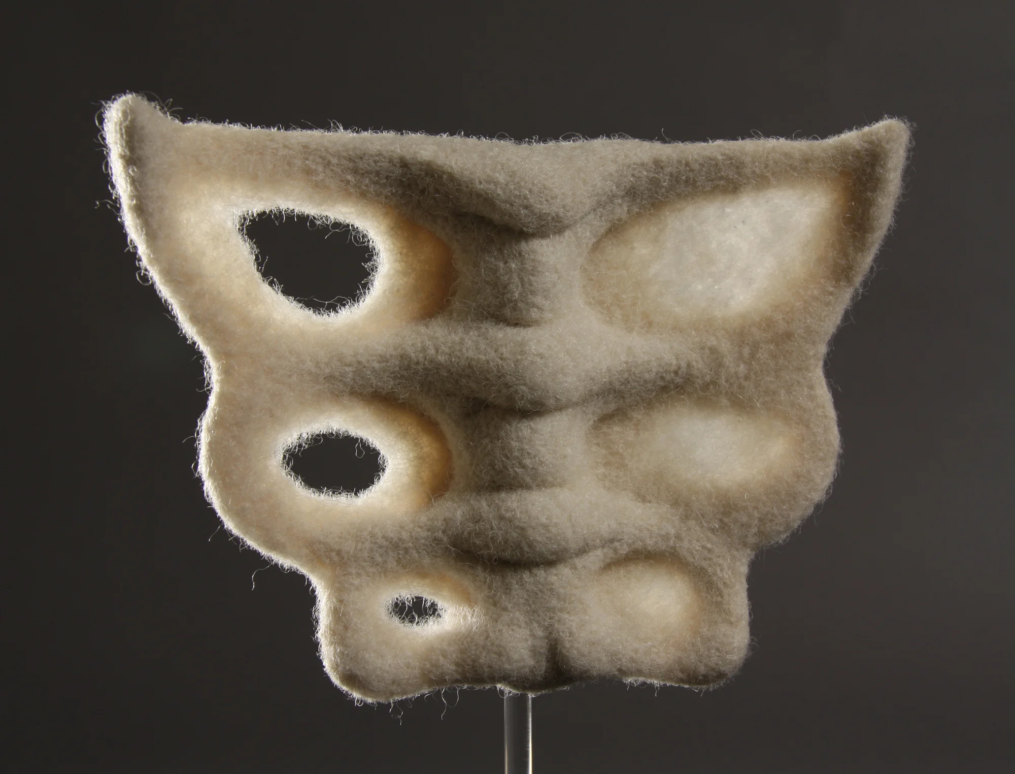 Flesh & Bone Study #5 (Butterfly Pelvis) , wool and plexiglass, 7.5" x 4" x 1.5", 2013. Private collection.
