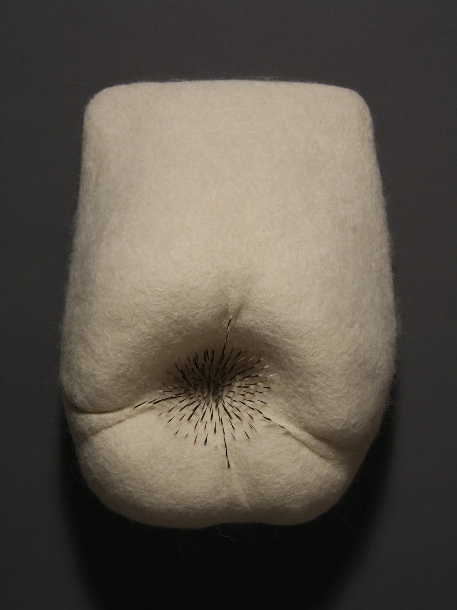 Amorphozoa #7 , wool and porcupine quills 10.25" x 7.25" x 4.5" 2009