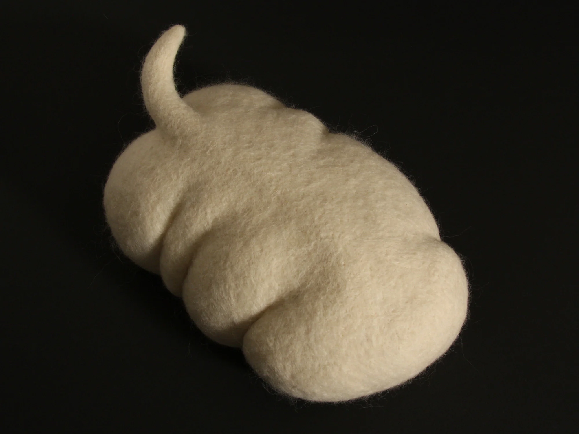 Amorphozoa #1, wool, 4.75" x 6.75" x 11", 2009