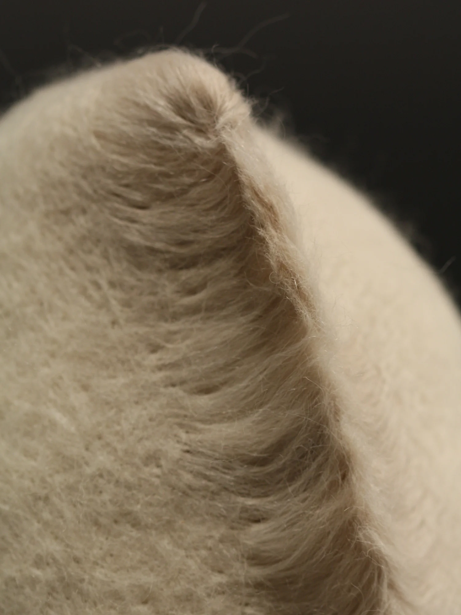 Amorphozoa #3, detail , wool and hair 8" x 5.25" x 6" 2009