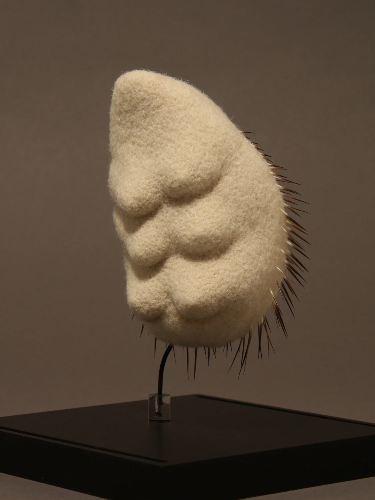 Calamus nutrix , wool and porcupine quills, 5" x 3" x 2.5," 2014. Private collection.