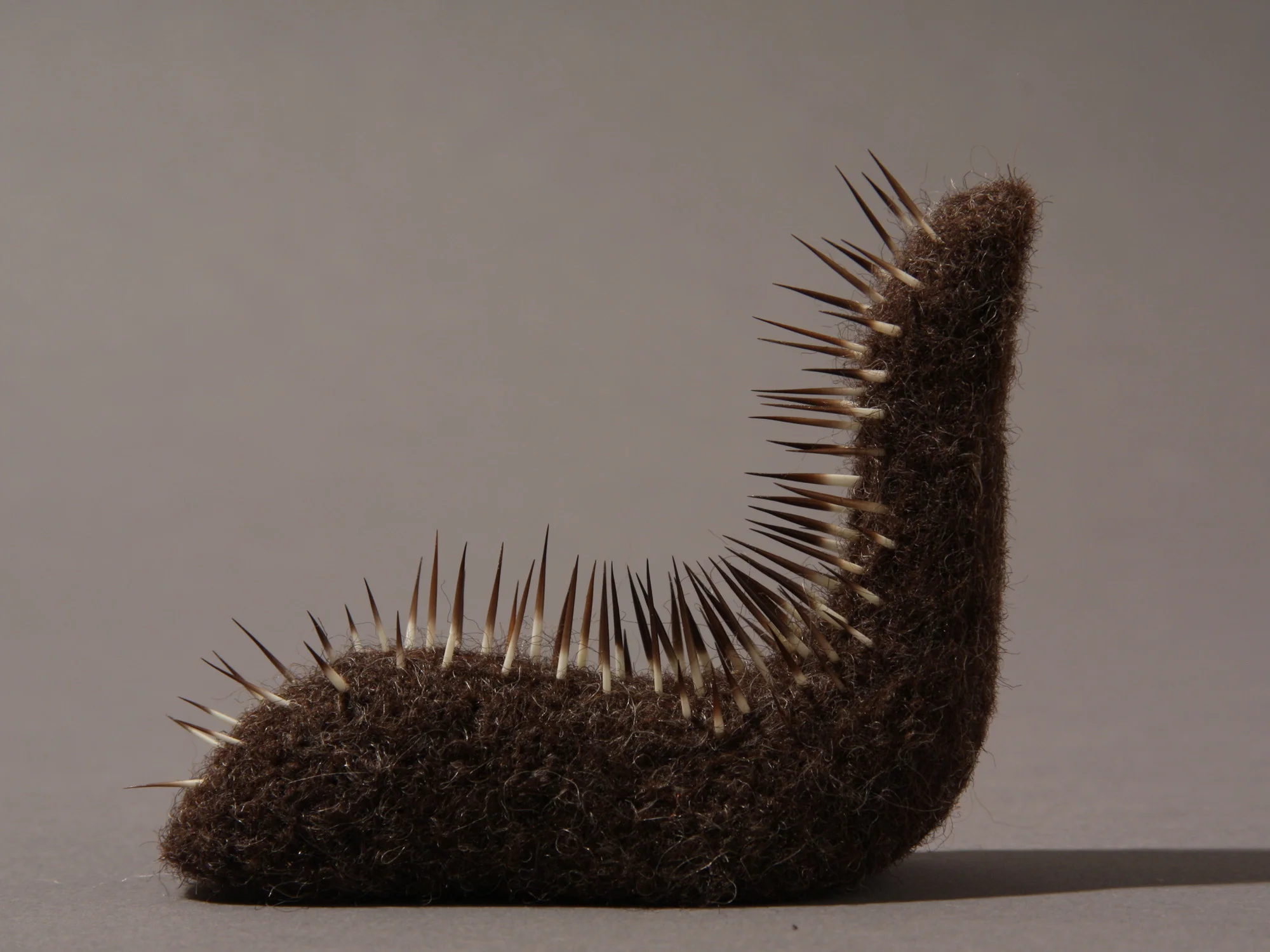 Calamus serpens , wool and porcupine quills, 3" x 1.25" x 3.5", 2014. Private collection.