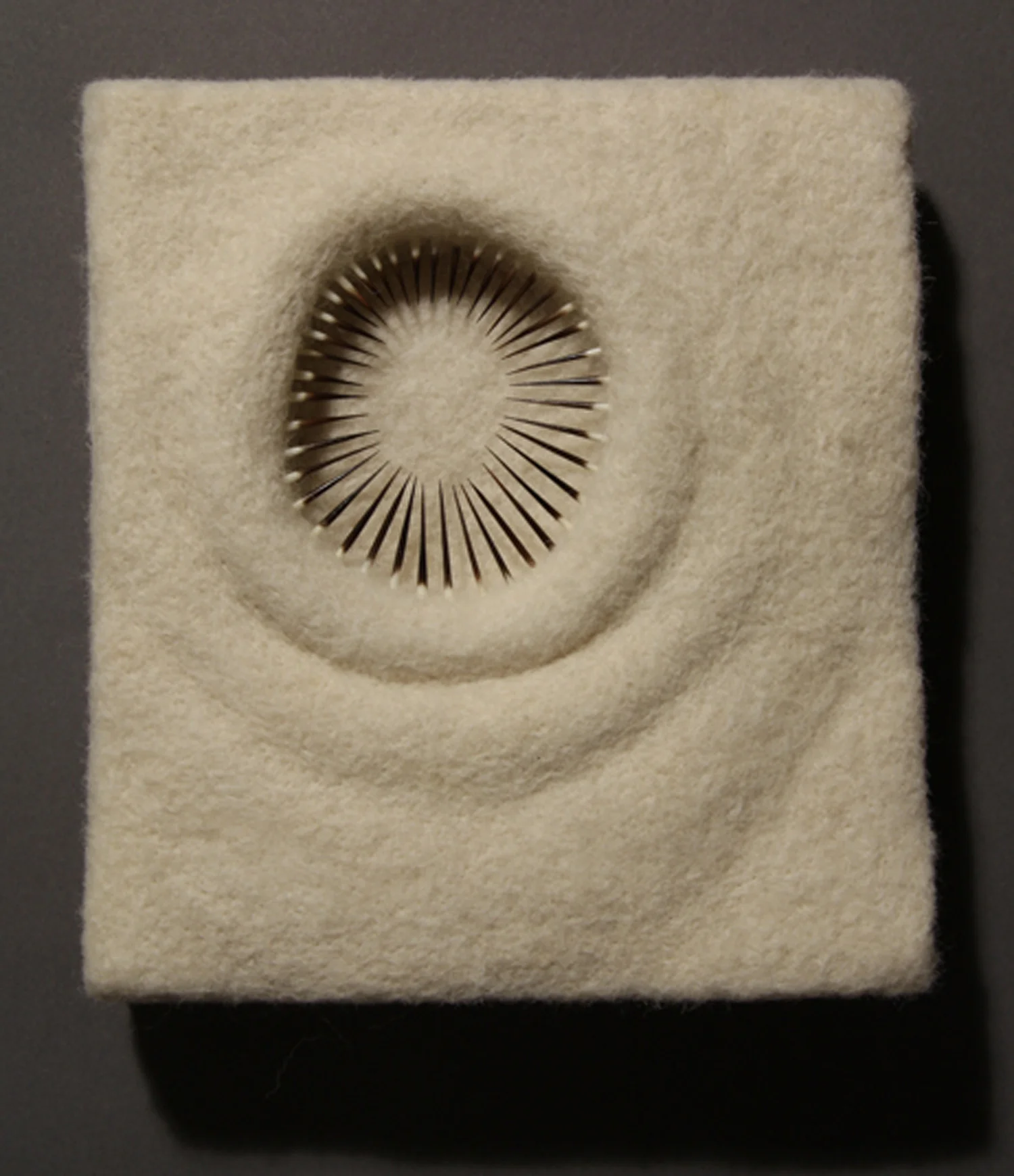 Calamus orbis , wool and porcupine quills on panel, 6” x 5.5” x 2.5”, 2014. Private collection.