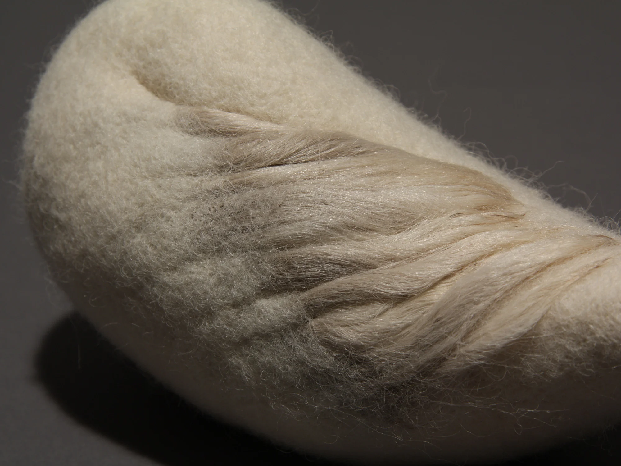 Avicular #10, detail, wool and hair, 4" x 4.25" x 9.25", 2012. Private collection.