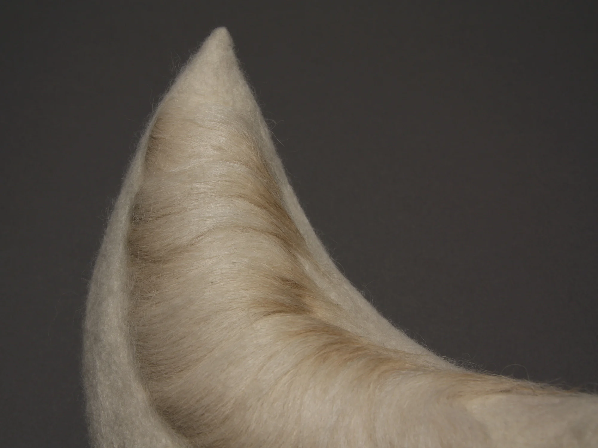 Avicular #12, detail , wool and hair 5.75" x 4.25" x 8.25" 2012
