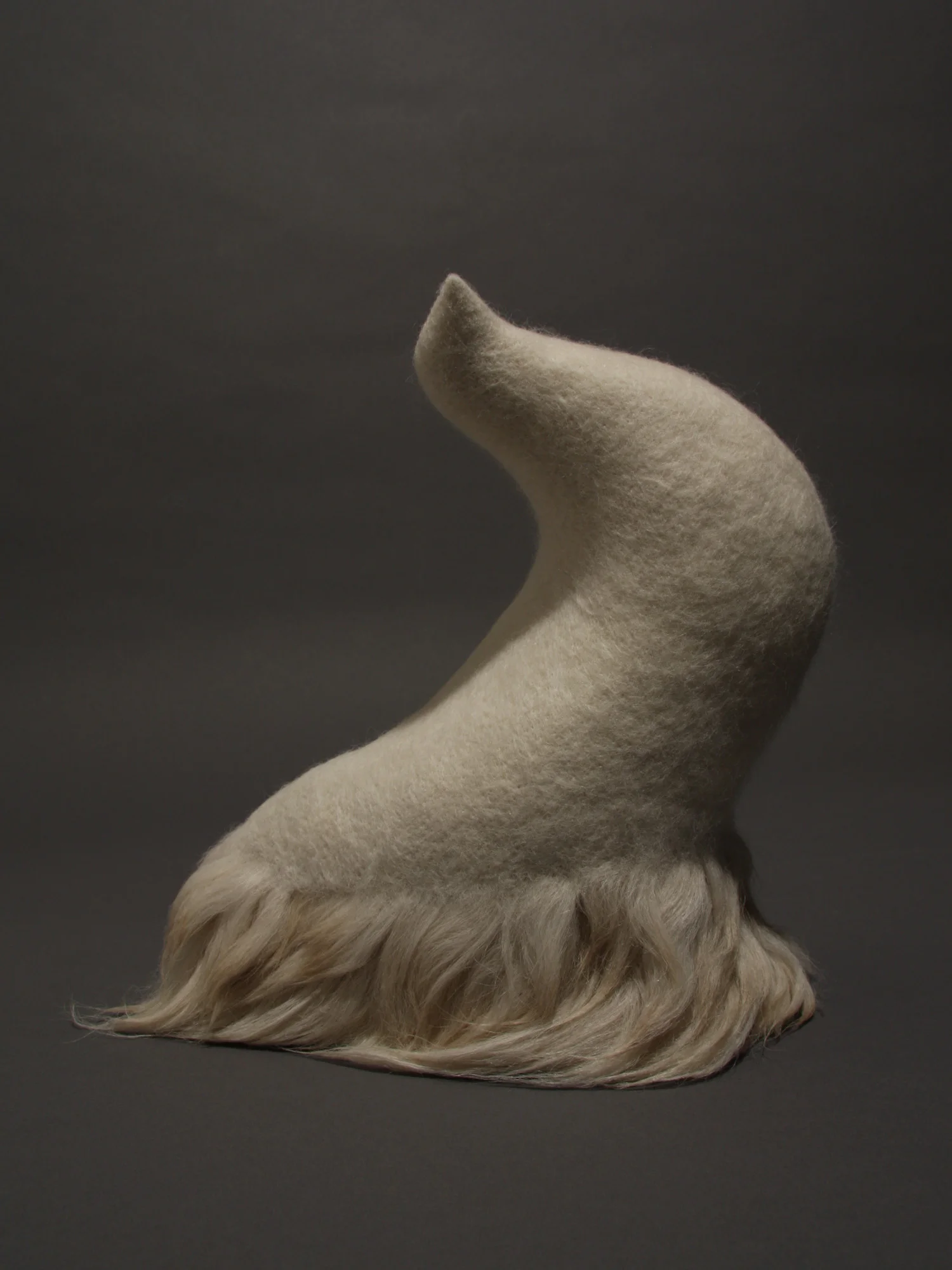 Avicular #13 , wool and hair 9" x 4.25" x 10.5" 2012