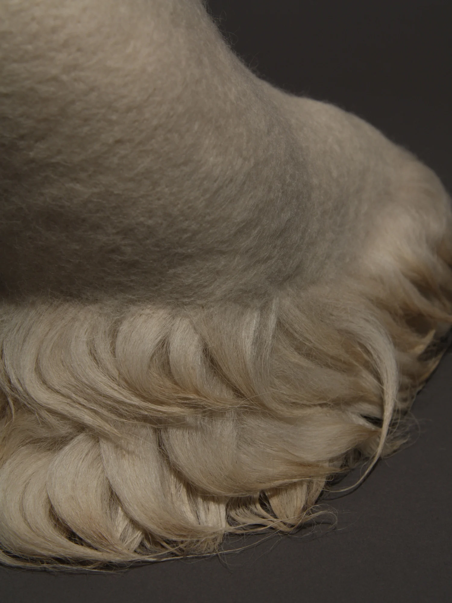 Avicular #13, detail , wool and hair 9" x 4.25" x 10.5" 2012