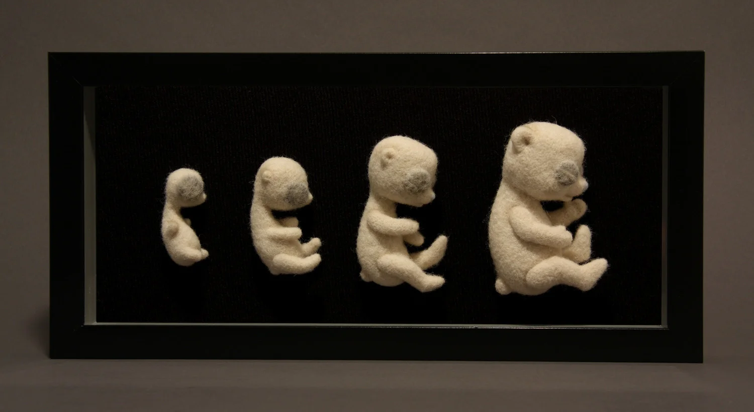 Ursulus evolvere , wool and buttons, framed; 7.25" x 15" x 1.75", 2014. Private Collection.