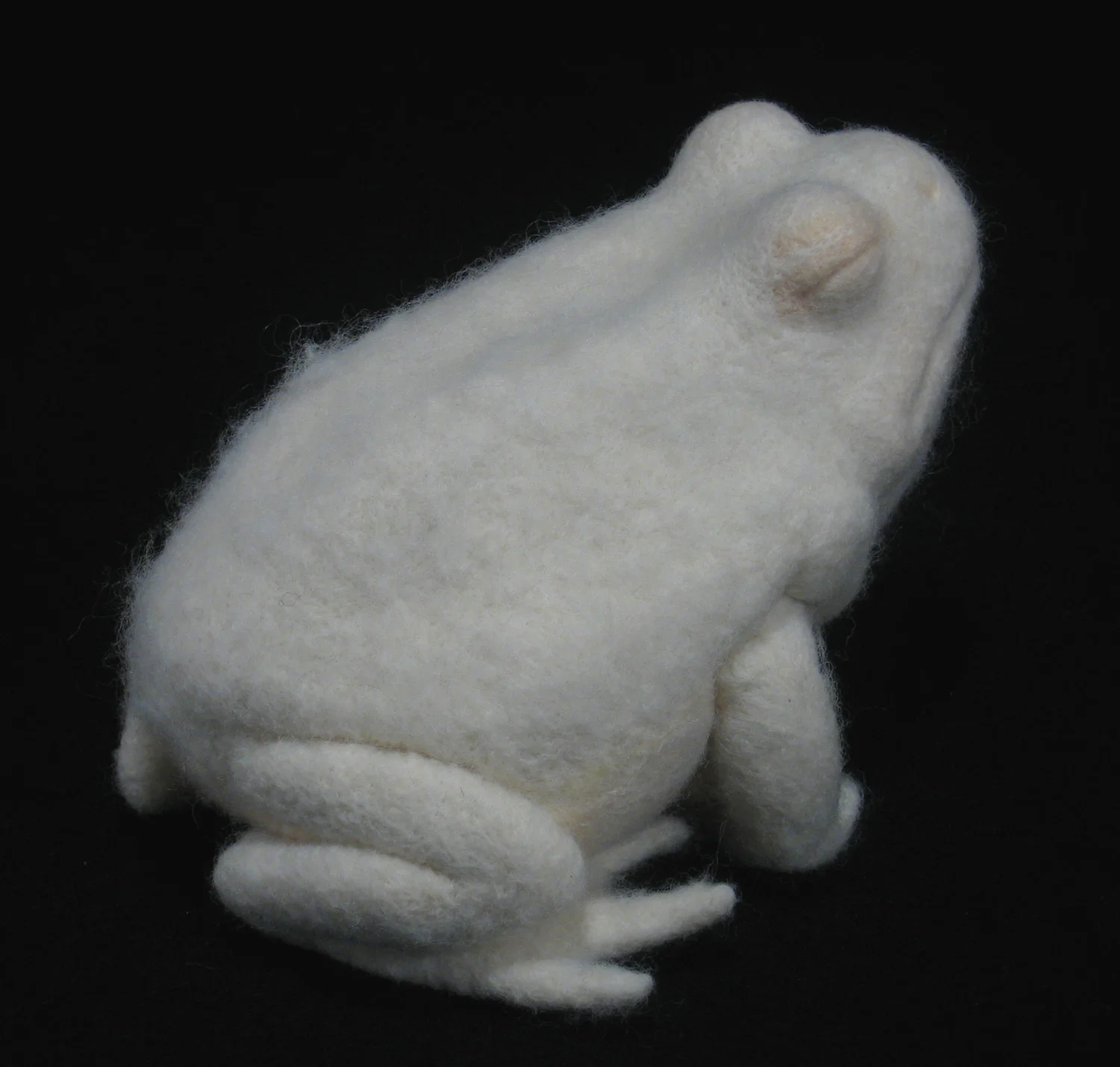 Mammalian , wool, 5.5" x 5" x 4", 2007.