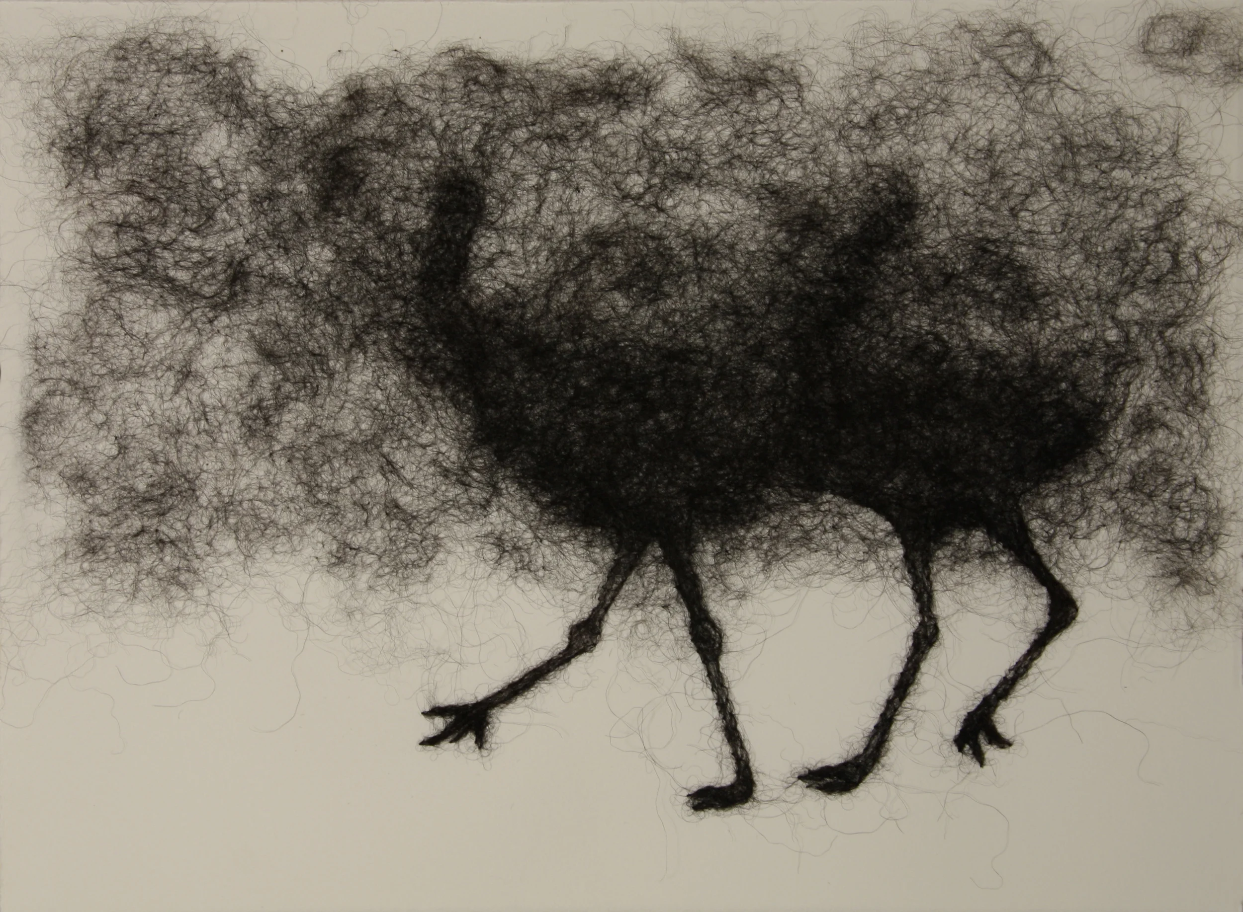 Bird Leg Gesture5 , wool through paper, 11" x 15", 2007. Private Collection.