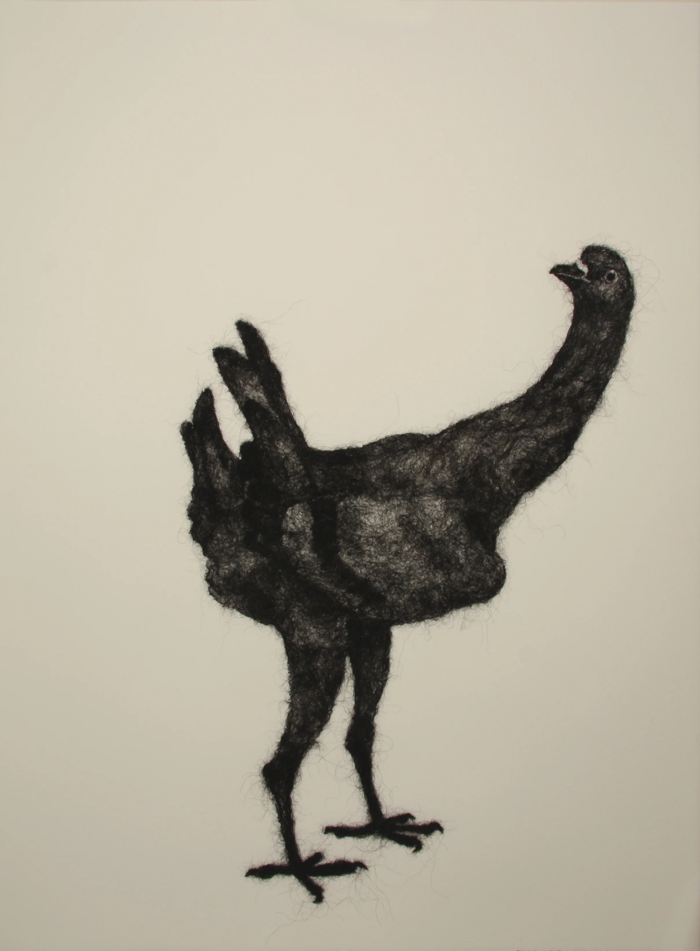 Maltese , wool through paper, 30" x 22", 2007.