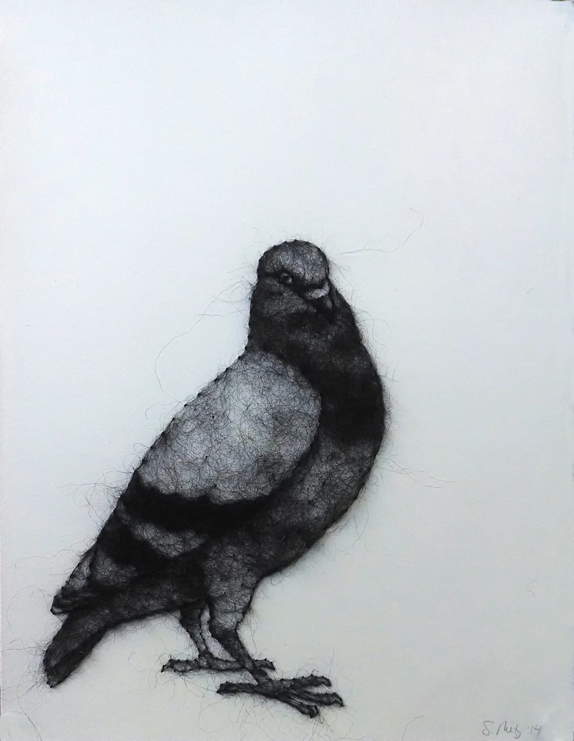 Pigeon , wool through paper, 12" x 9", 2014. Private Collection.