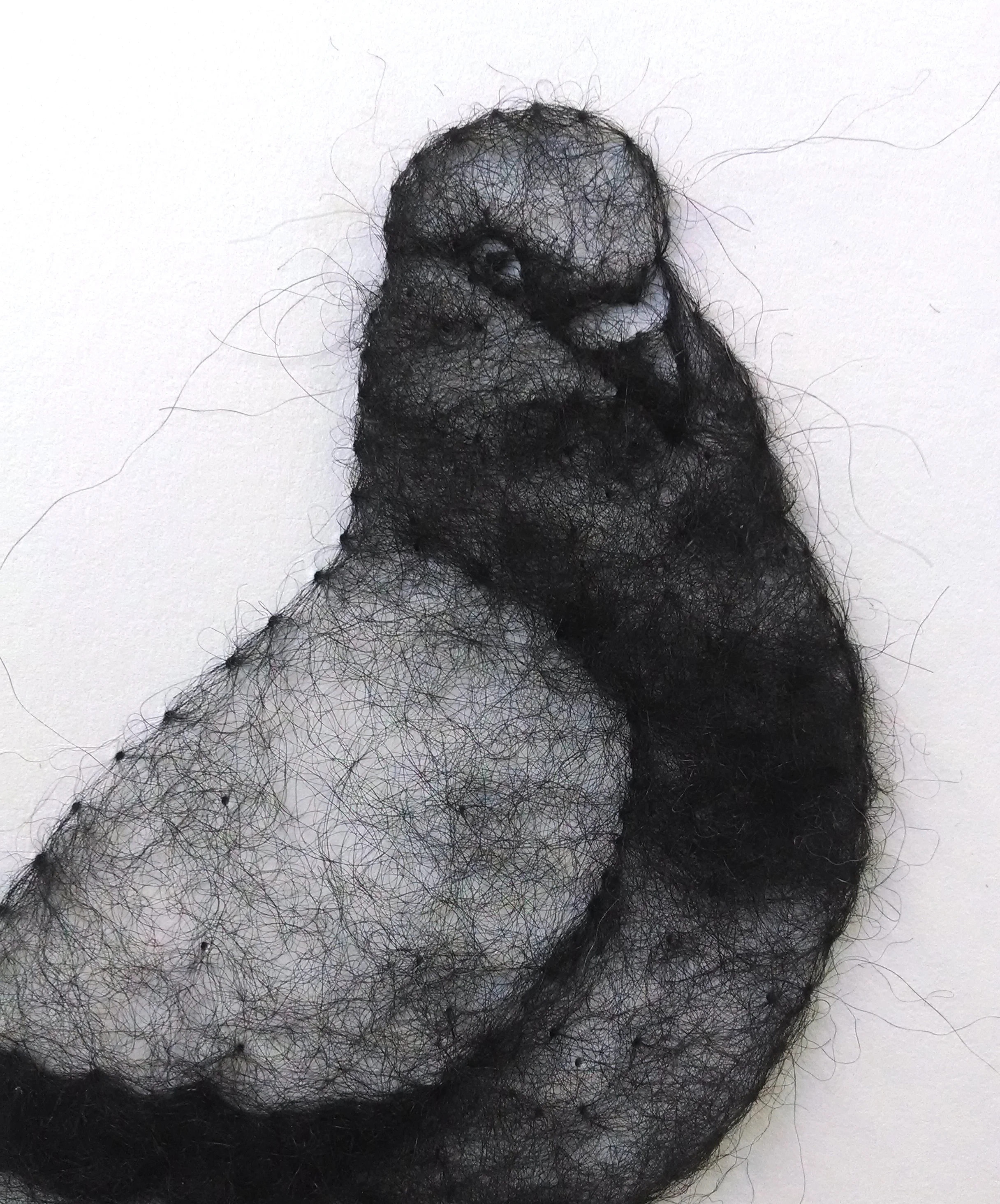 Pigeon , detail, wool through paper, 12" x 9", 2014. Private Collection.