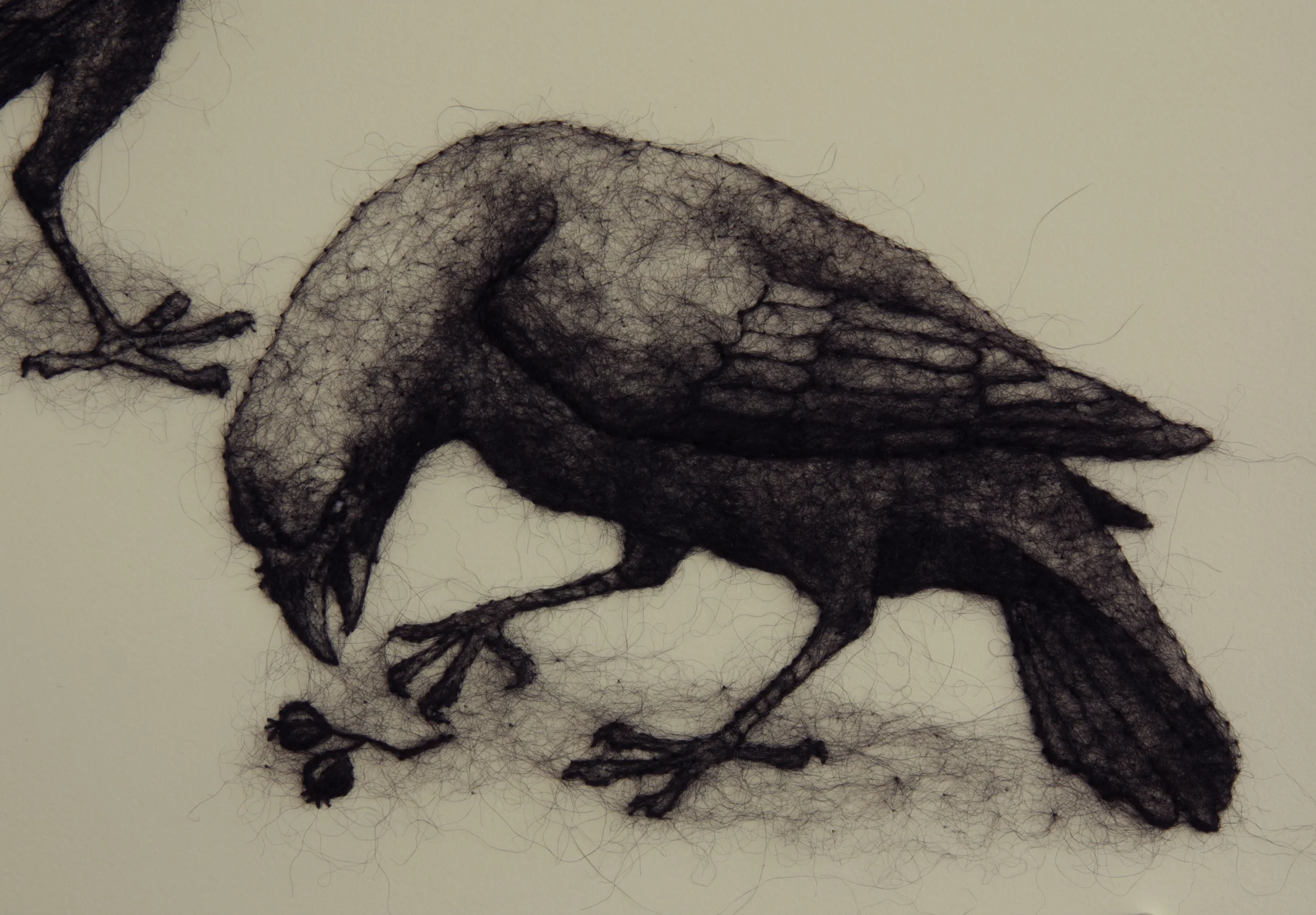 Two Crows , detail, wool through paper, 22" x 15", 2017. Private Collection.